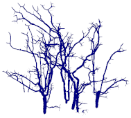 Remotesensing 15 00172 i066