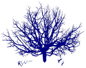 Remotesensing 15 00172 i072