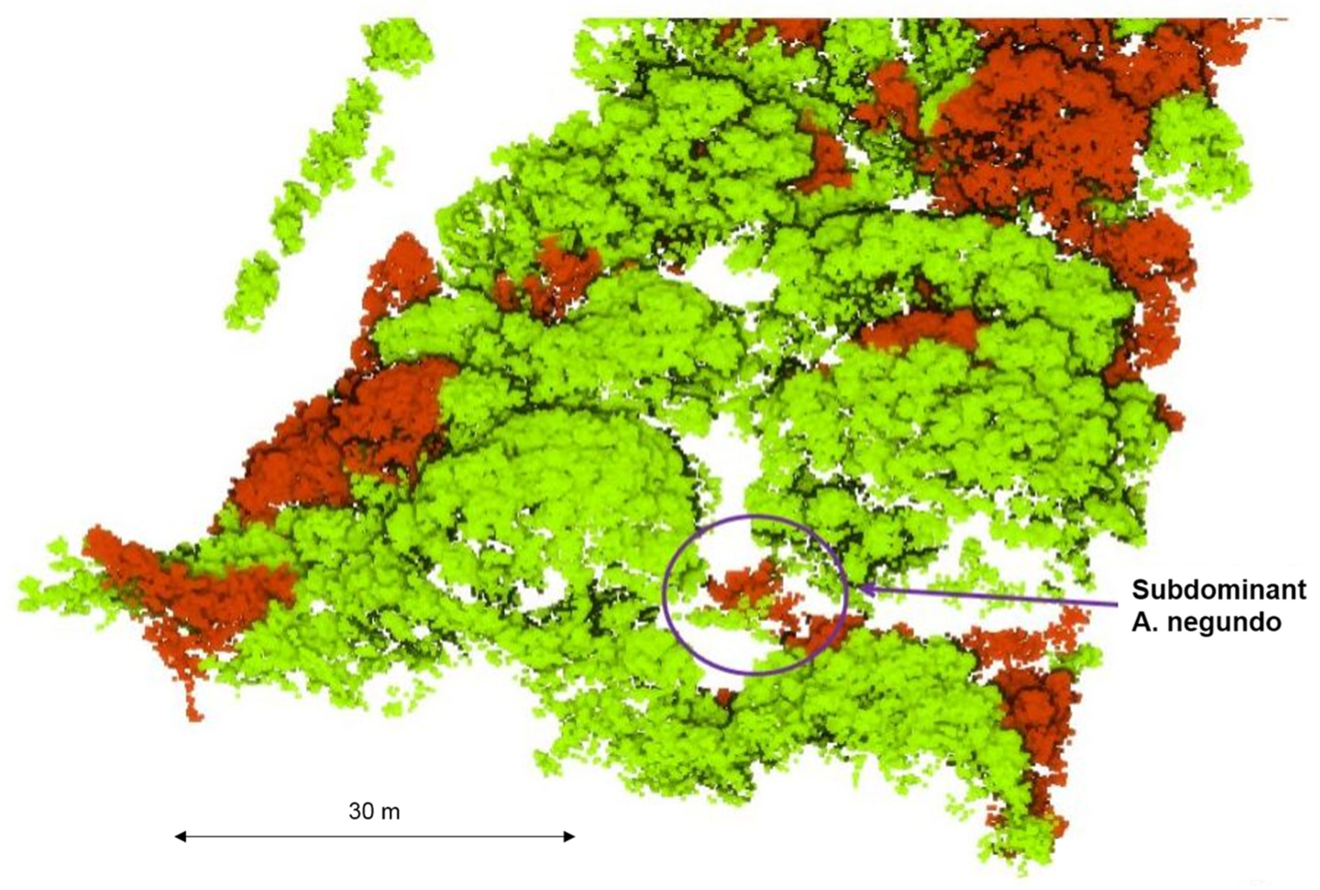 Remotesensing 15 00212 g009 Remotesensing 15 00212 g009