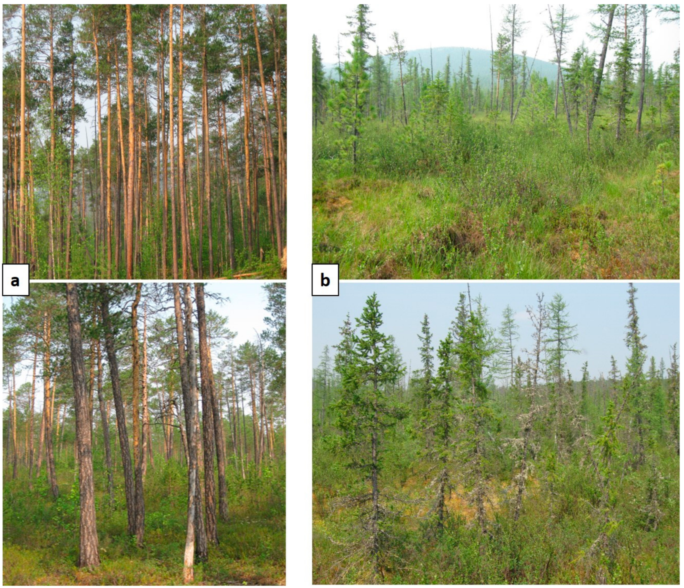 Remotesensing 15 00291 g006 Remotesensing 15 00291 g006