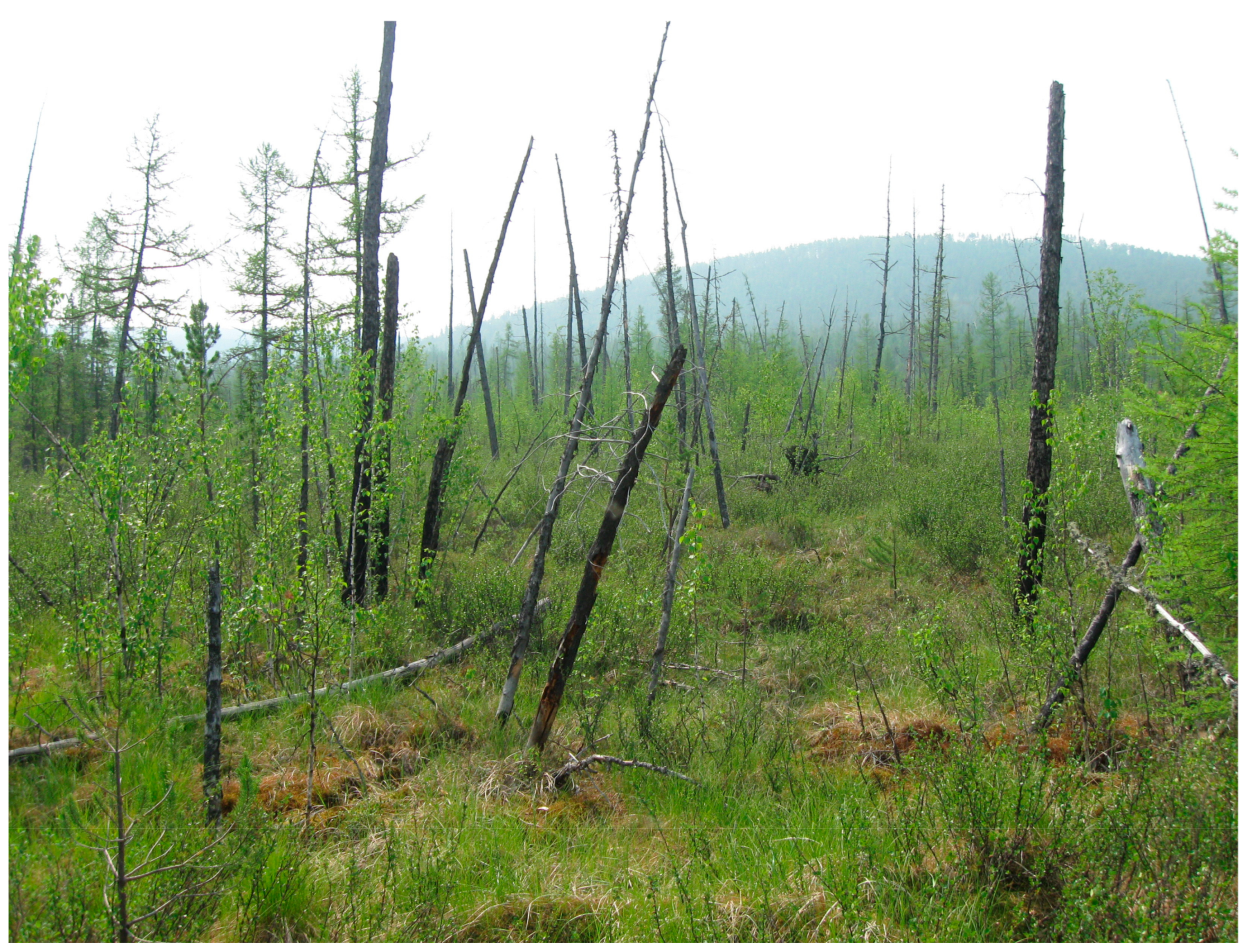 Remotesensing 15 00291 g007 Remotesensing 15 00291 g007