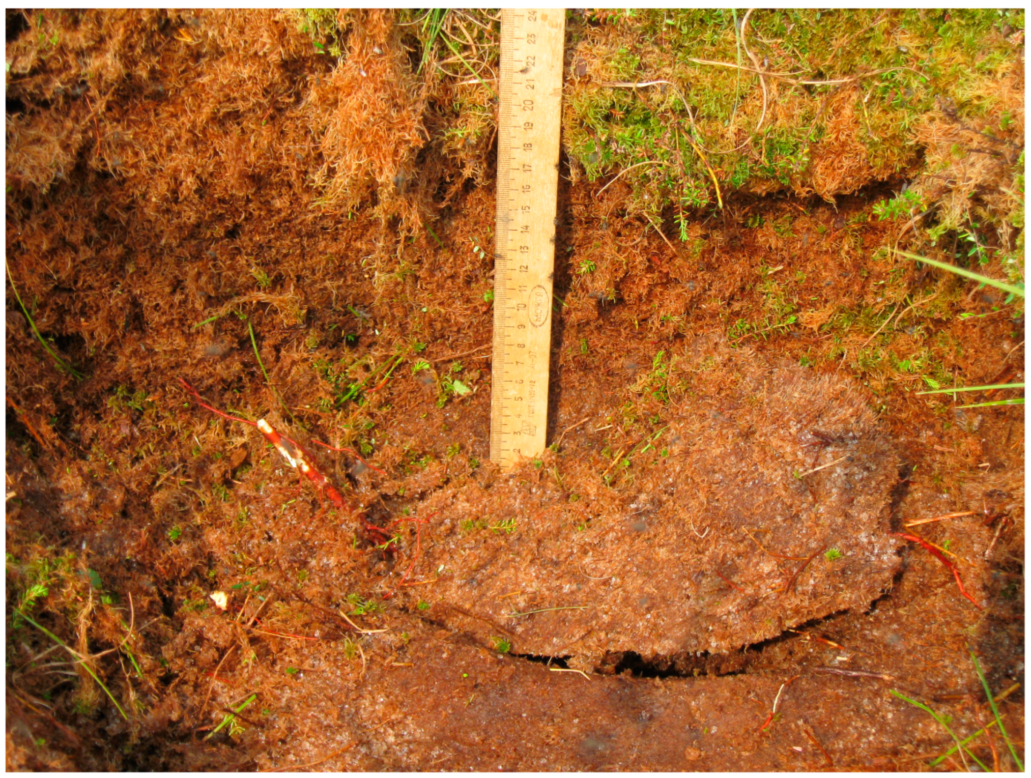 Remotesensing 15 00291 g008 Remotesensing 15 00291 g008