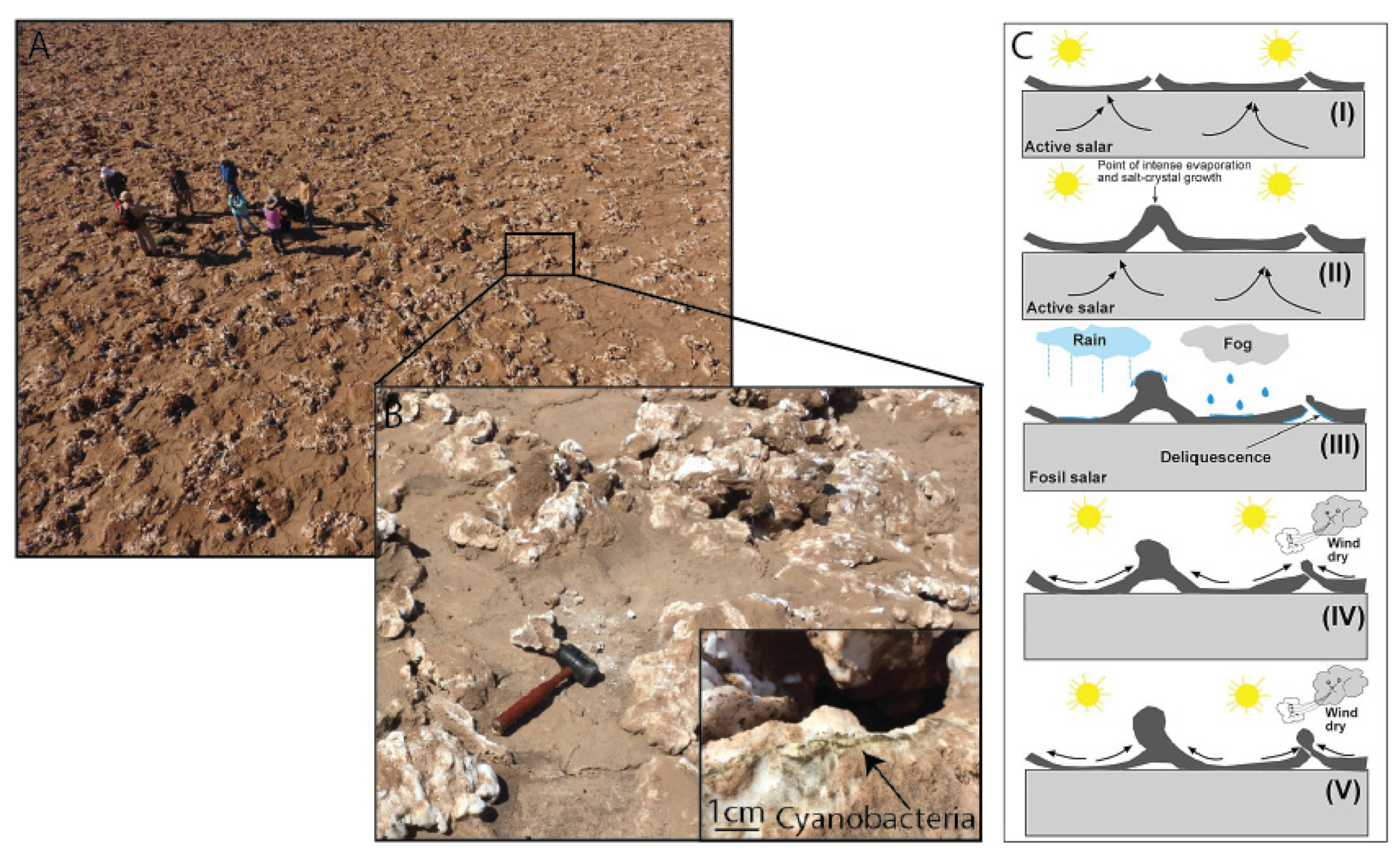 Remotesensing 15 00314 g002