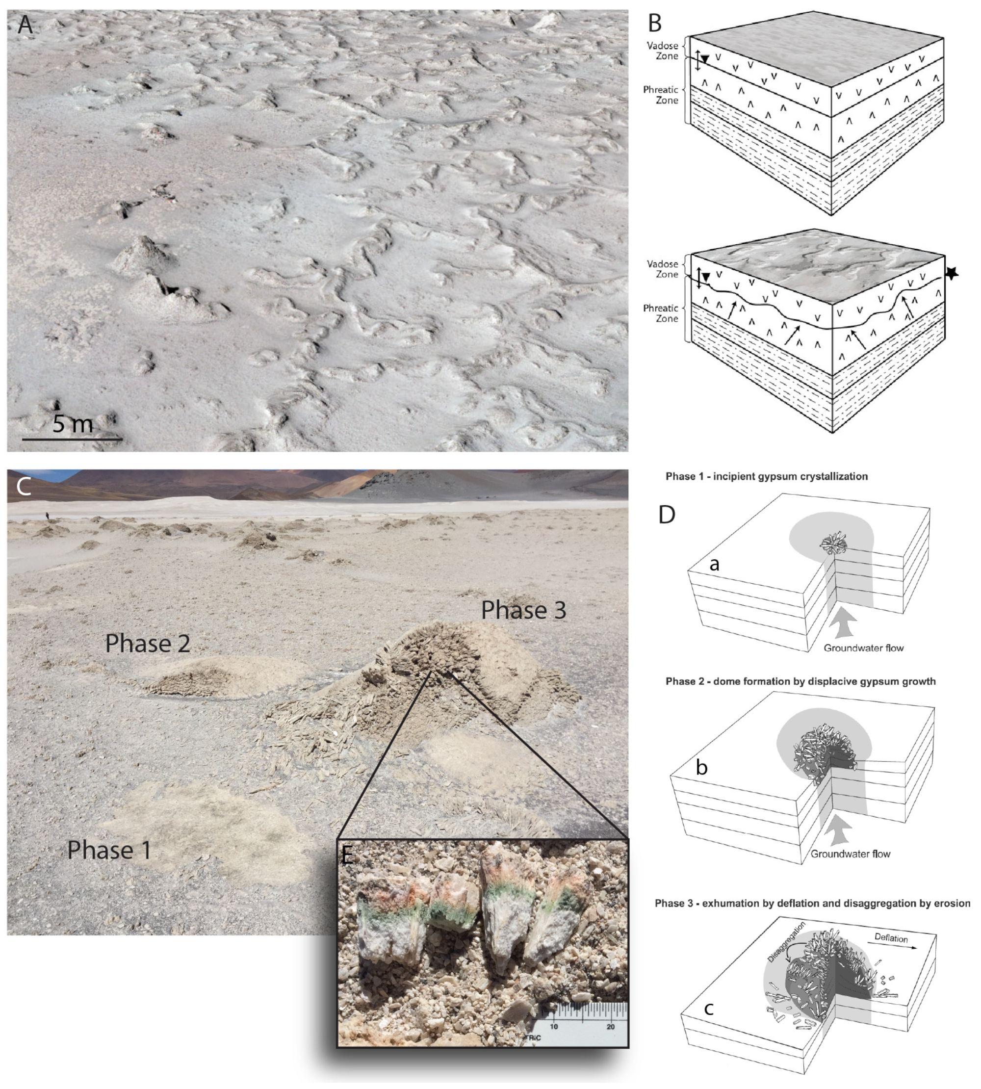 Remotesensing 15 00314 g003