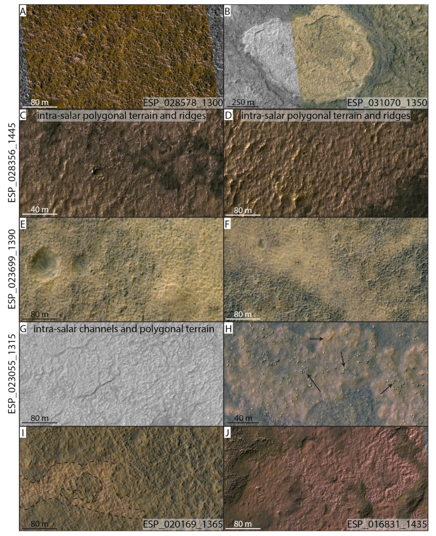 Remotesensing 15 00314 g010