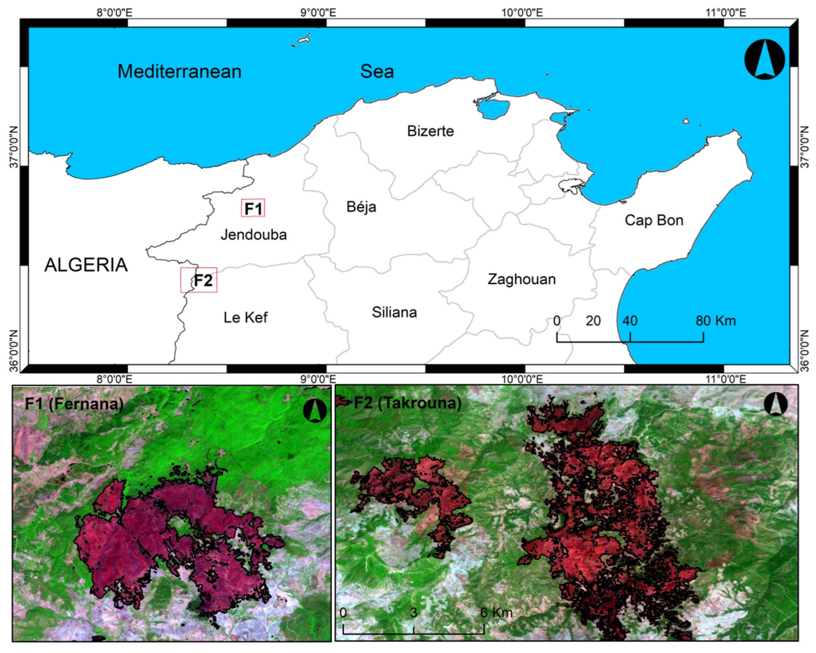 Remotesensing 15 00335 g001