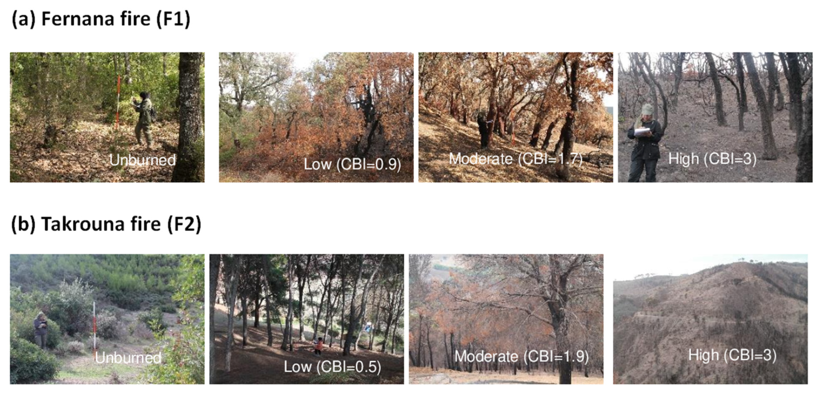 Remotesensing 15 00335 g002