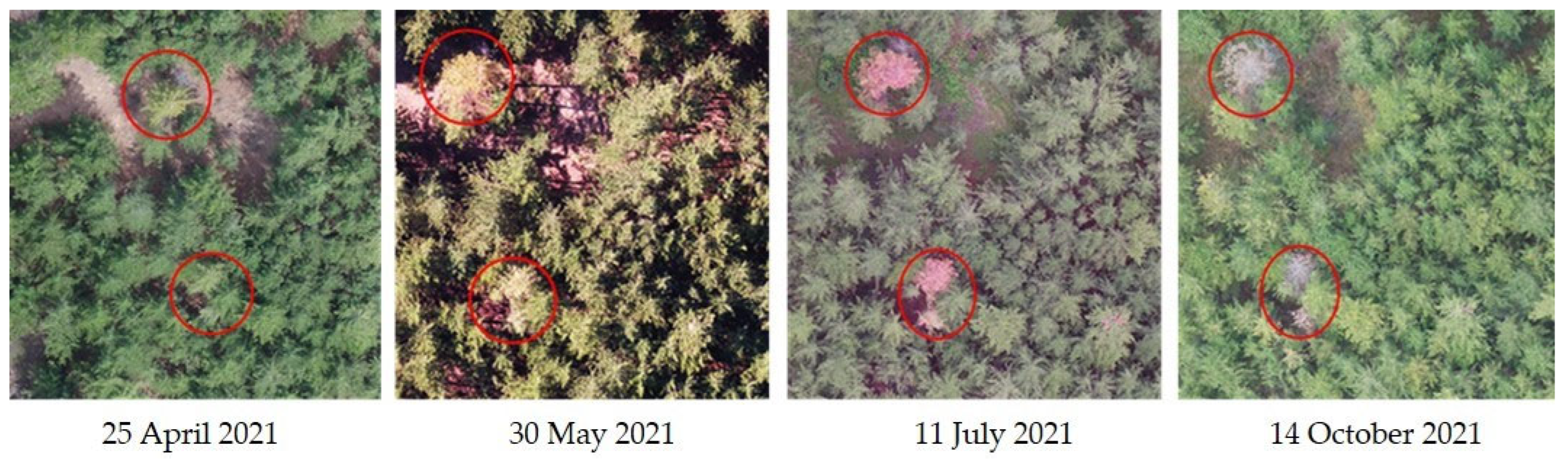 Remotesensing 15 00407 g001