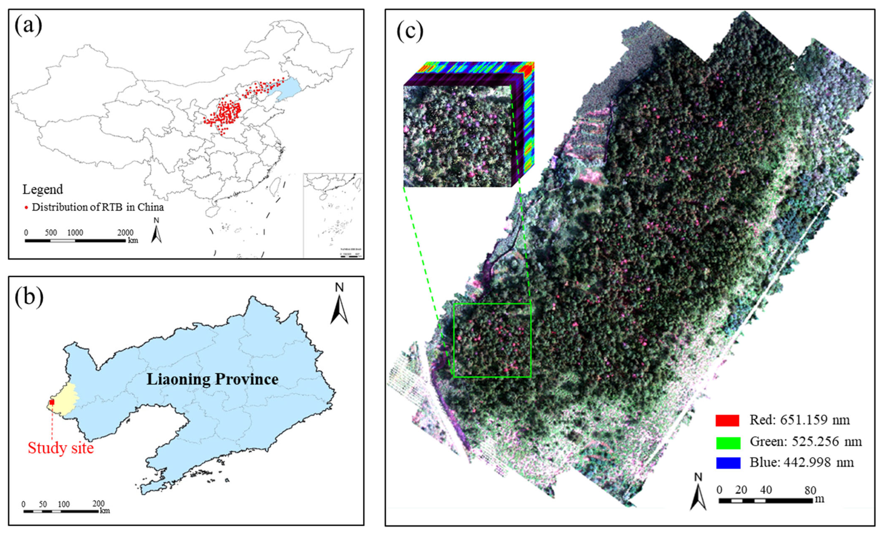 Remotesensing 15 00407 g002