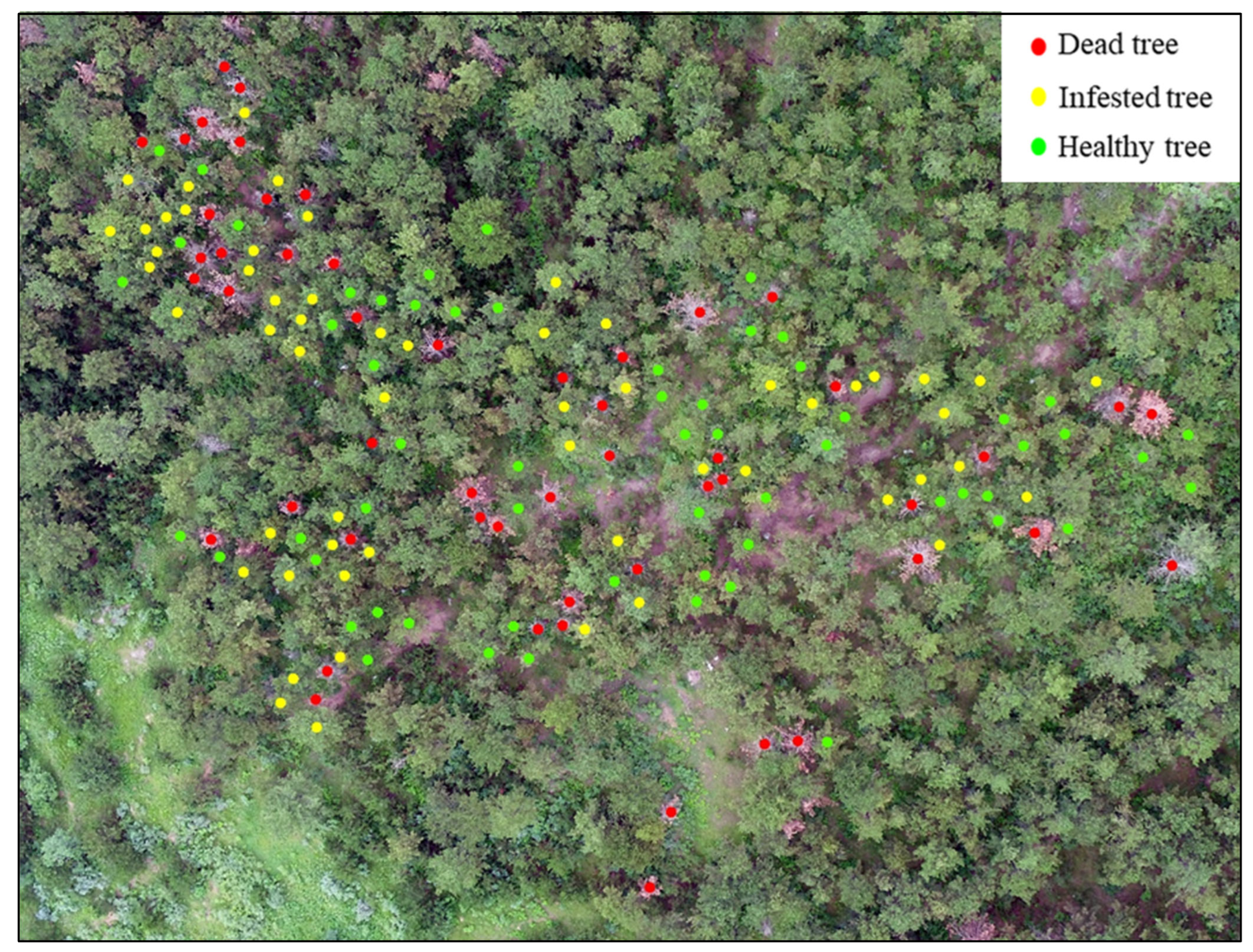 Remotesensing 15 00407 g004