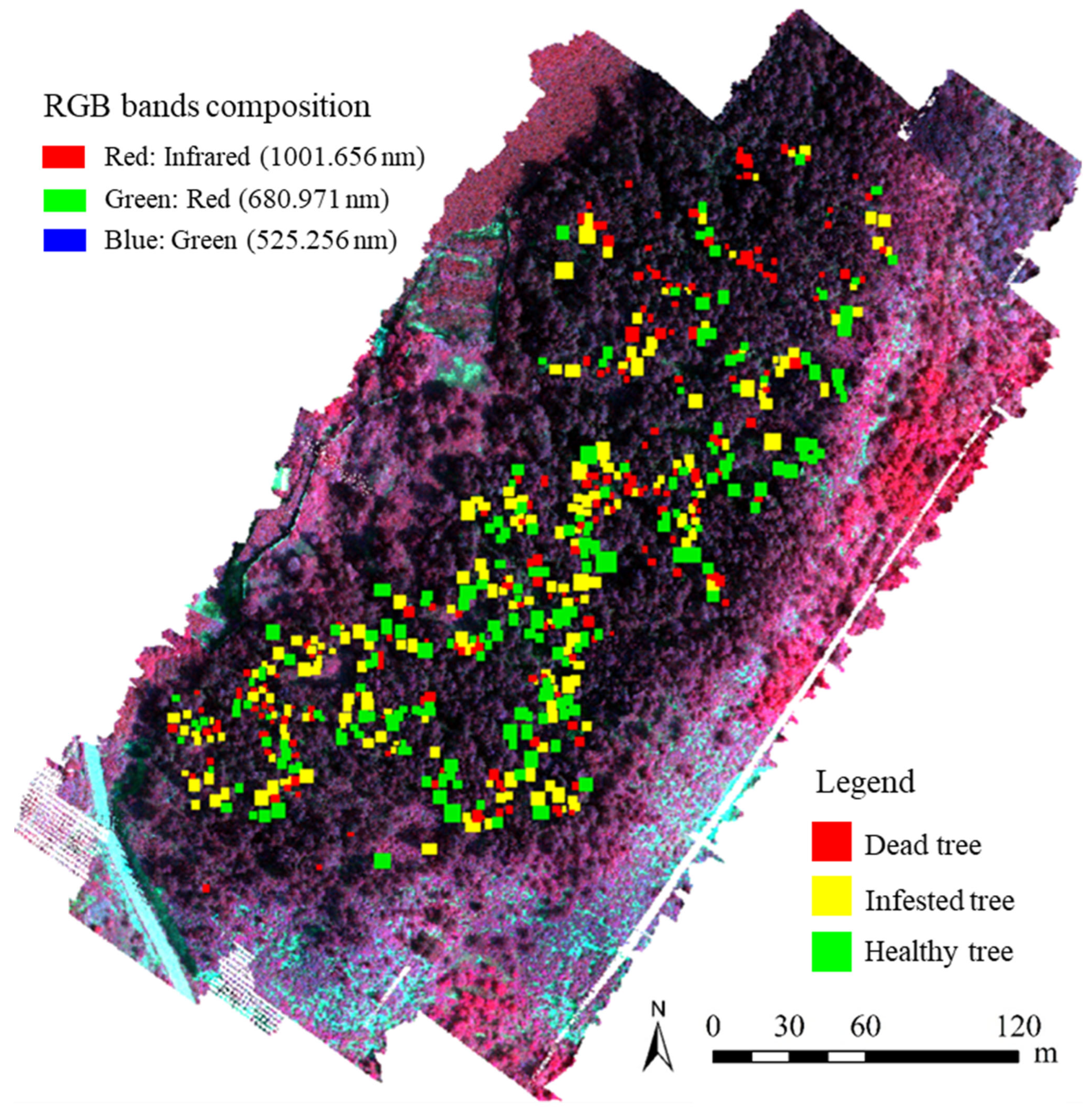 Remotesensing 15 00407 g005