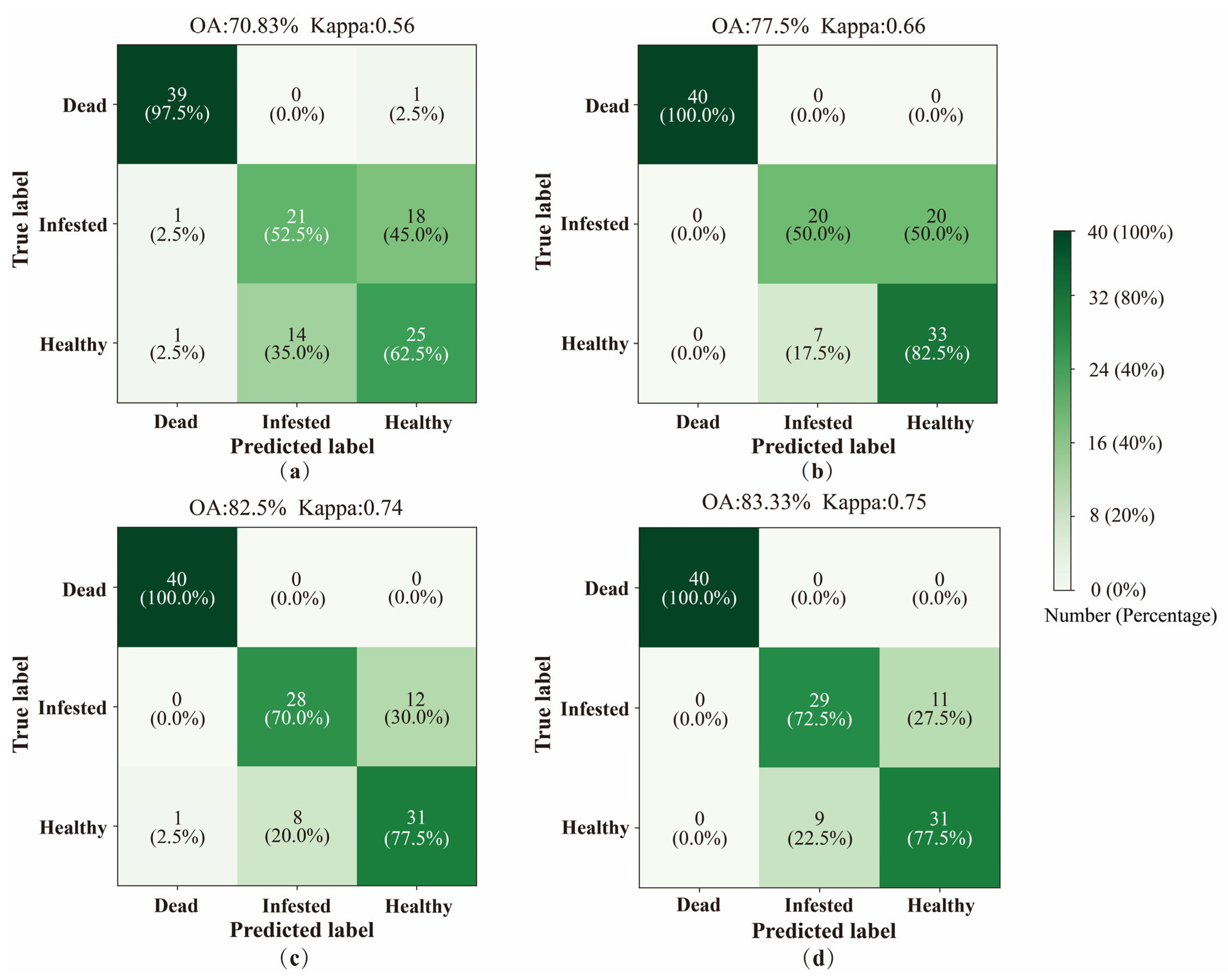 Remotesensing 15 00407 g009
