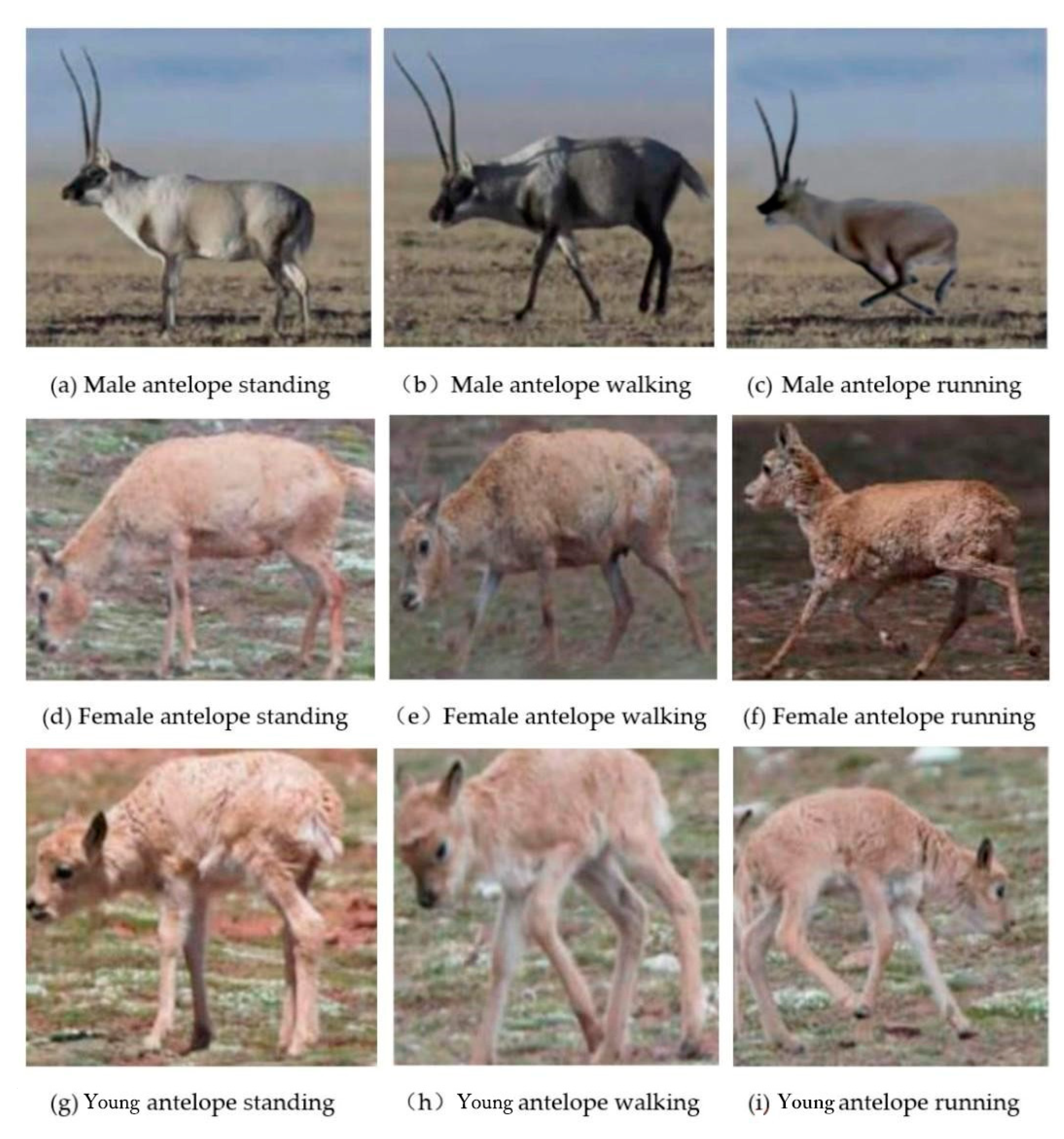 Remotesensing 15 00417 g002