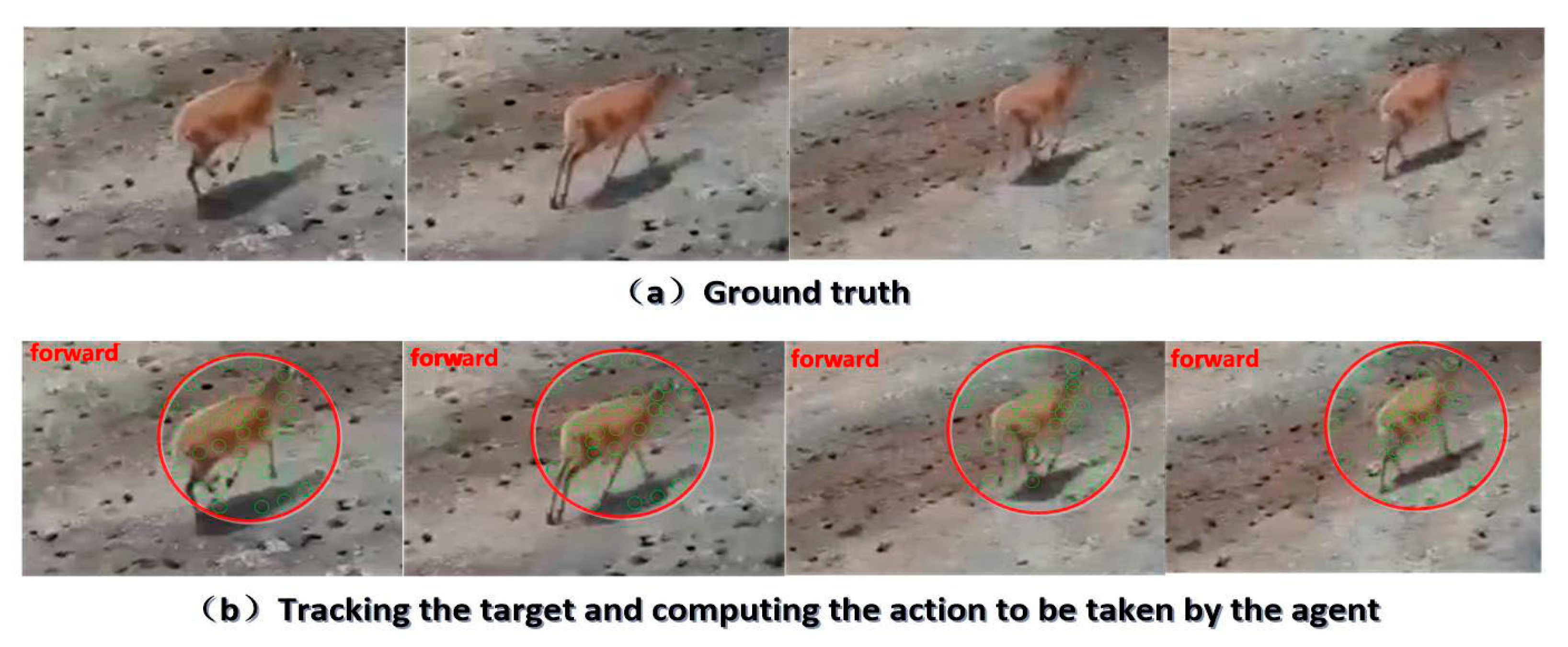 Remotesensing 15 00417 g008