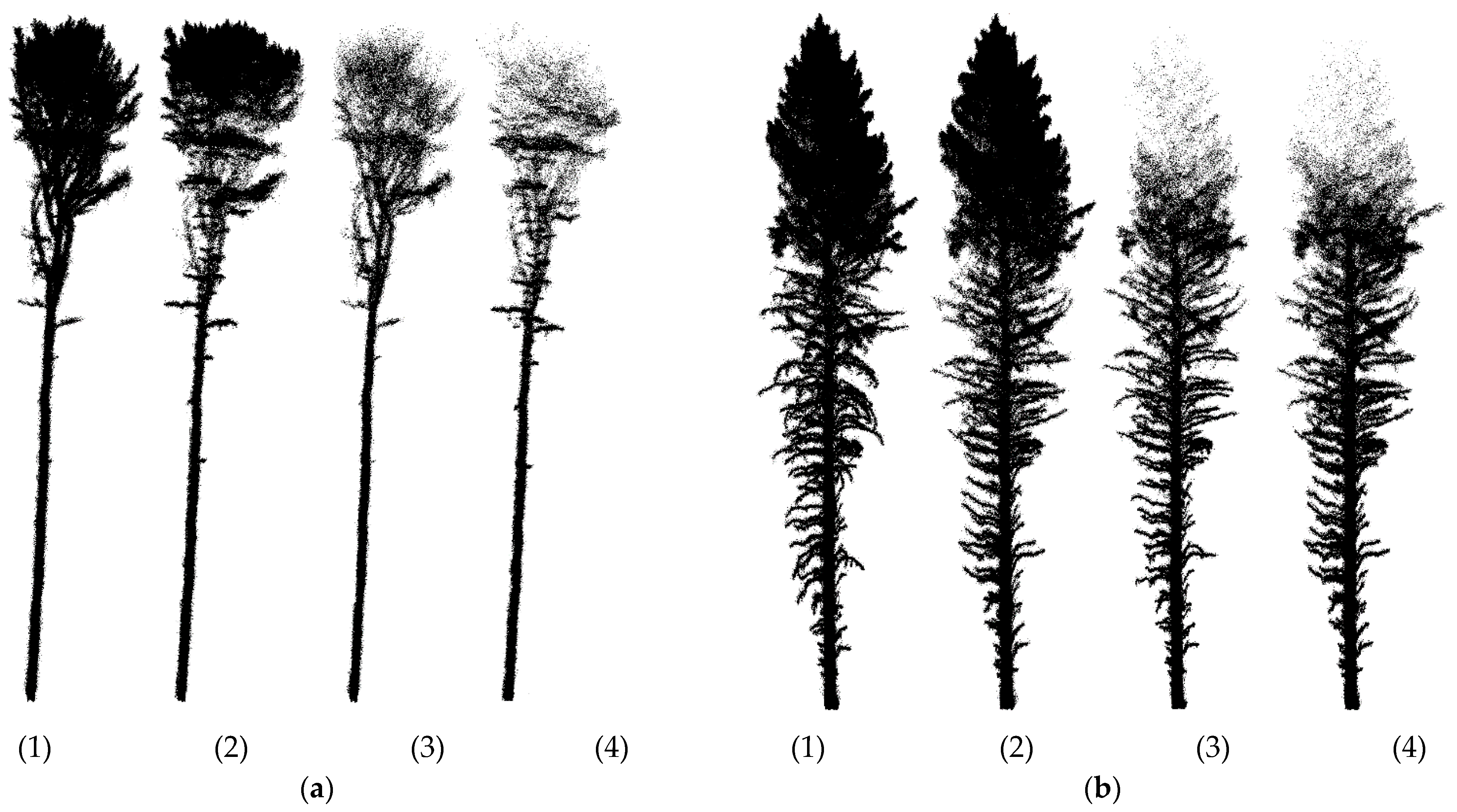 Remotesensing 15 00450 g003