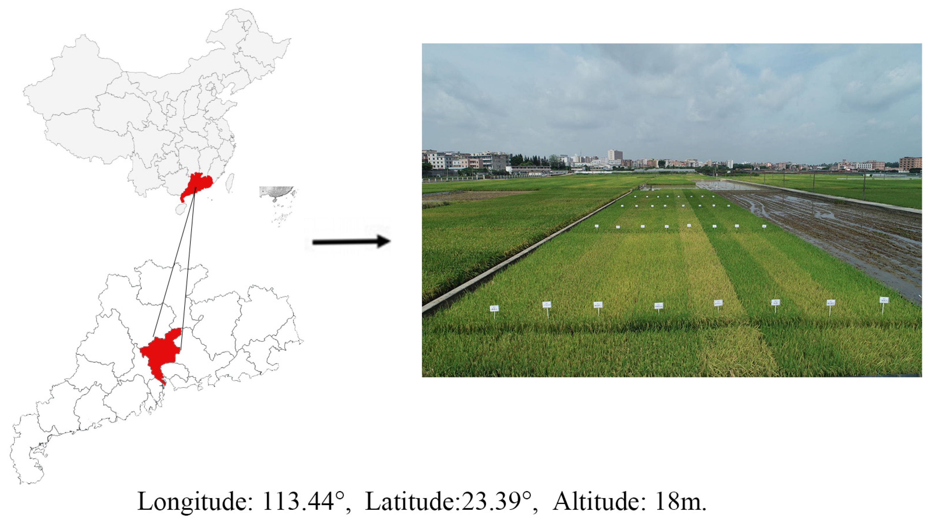 Remotesensing 15 00453 g001