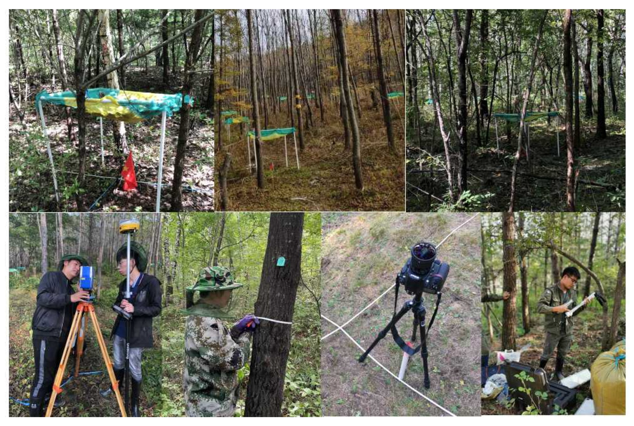 Remotesensing 15 00471 g002