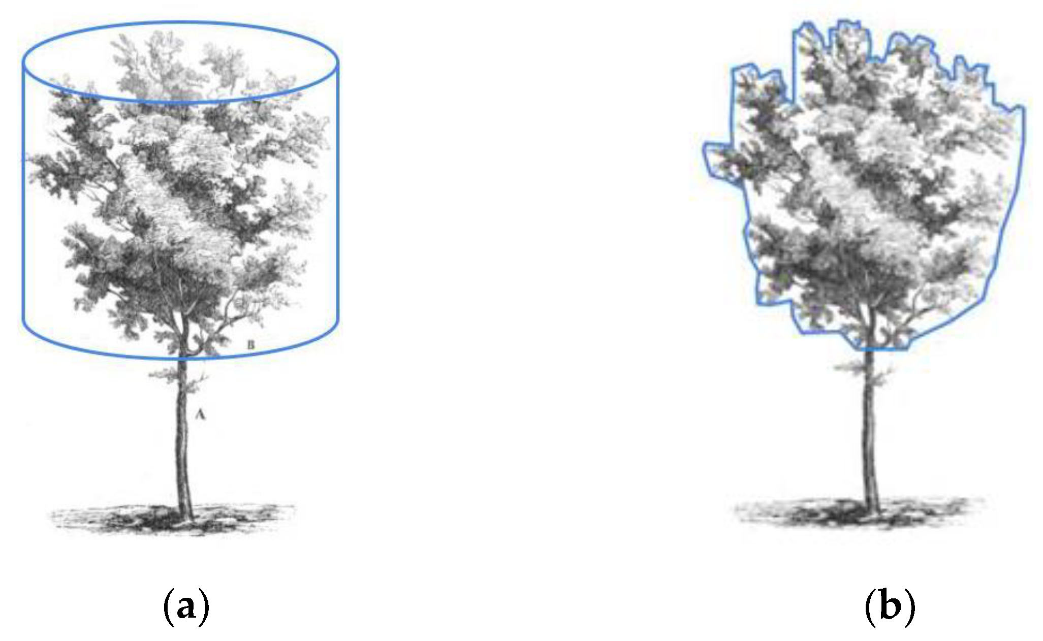 Remotesensing 15 00541 g005