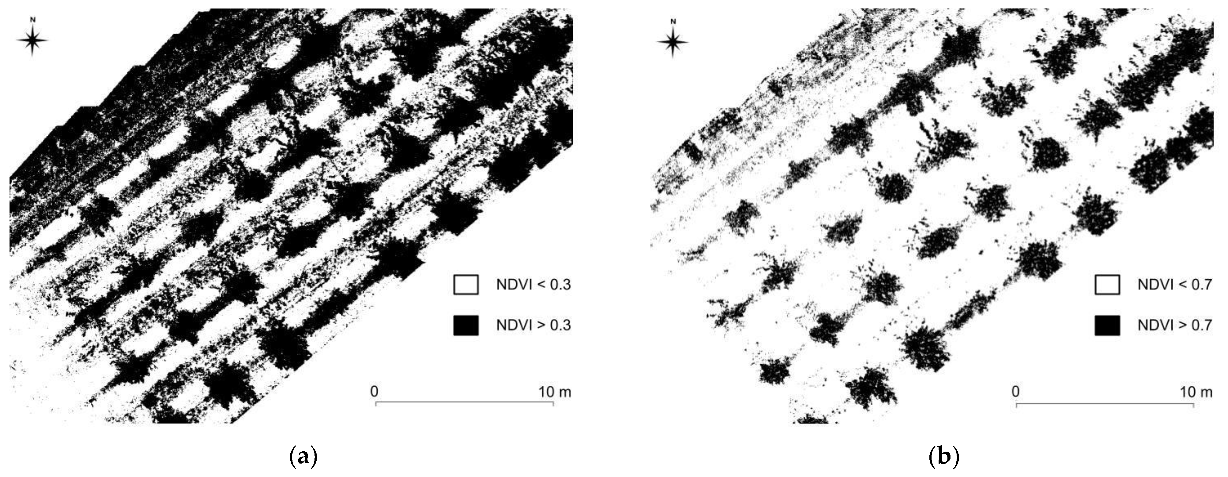 Remotesensing 15 00541 g006