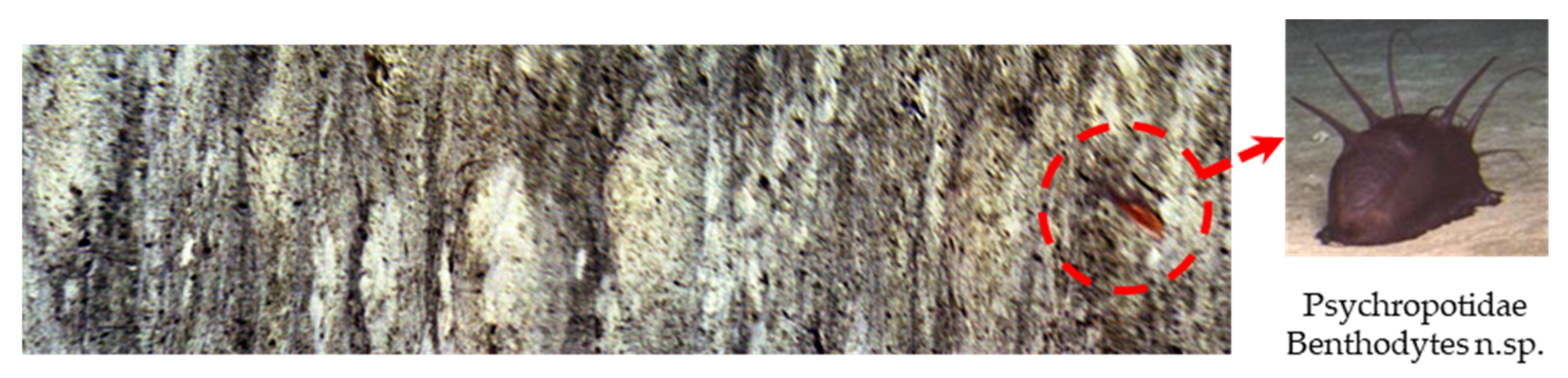 Remotesensing 15 00544 g015 Remotesensing 15 00544 g015