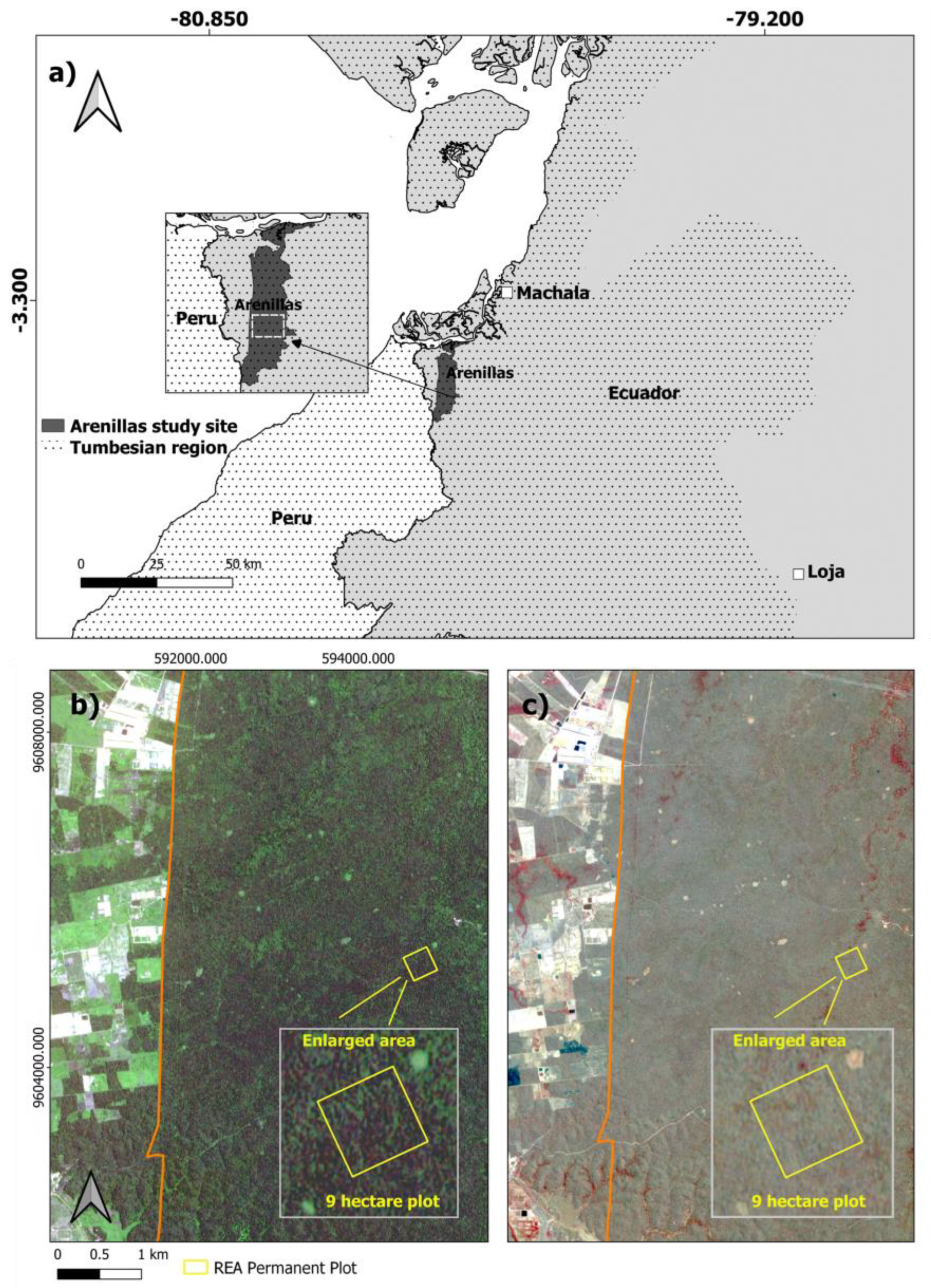Remotesensing 15 00583 g001