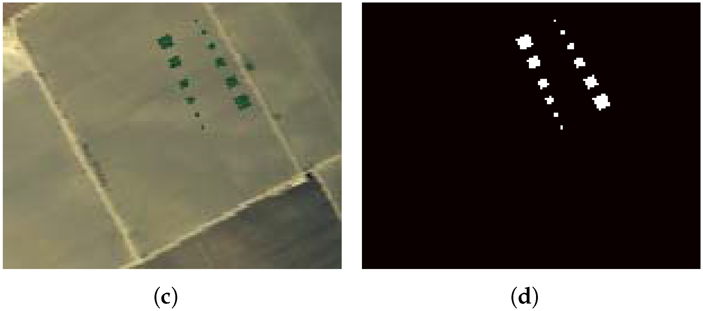 Remotesensing 15 00589 g005b