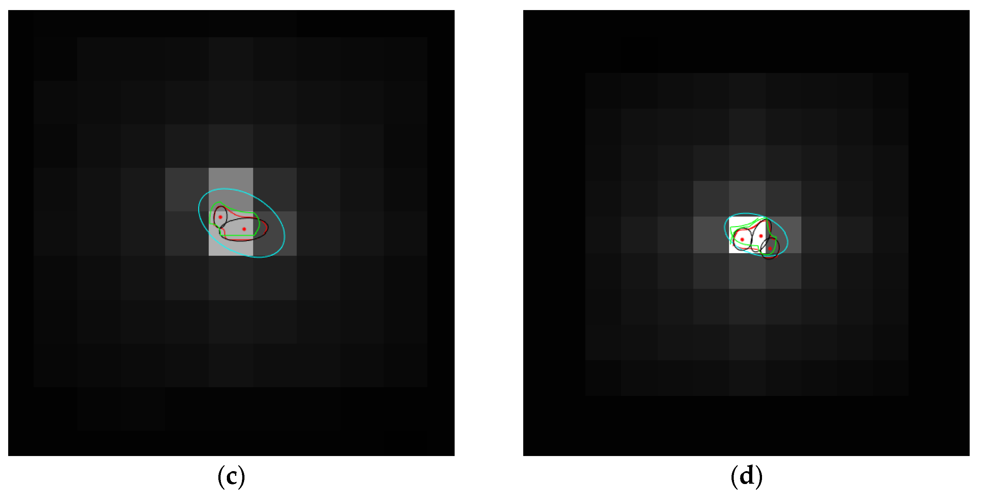 Remotesensing 15 00606 g009b