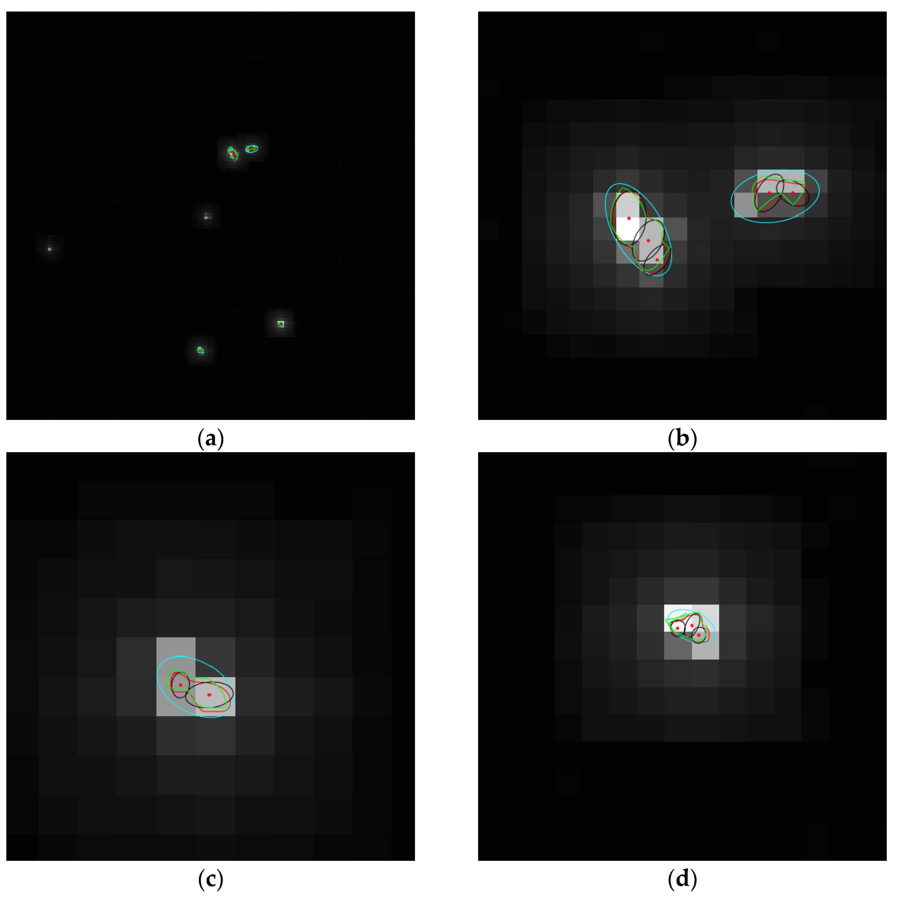 Remotesensing 15 00606 g010