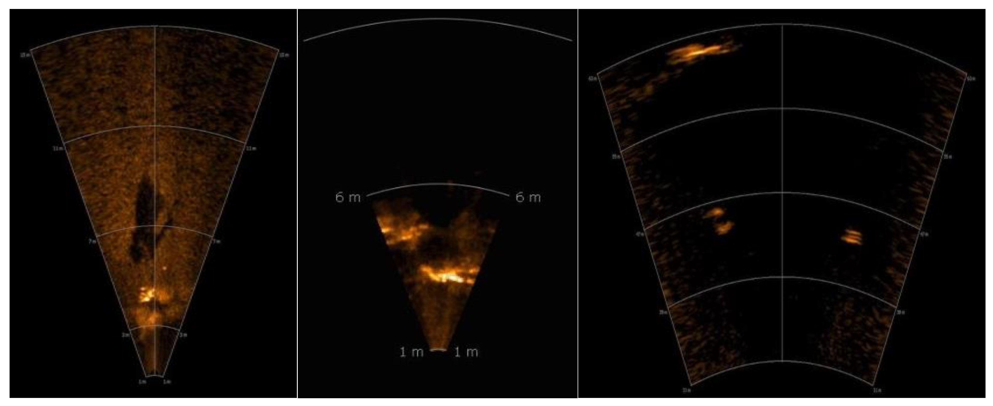 Remotesensing 15 00616 g016