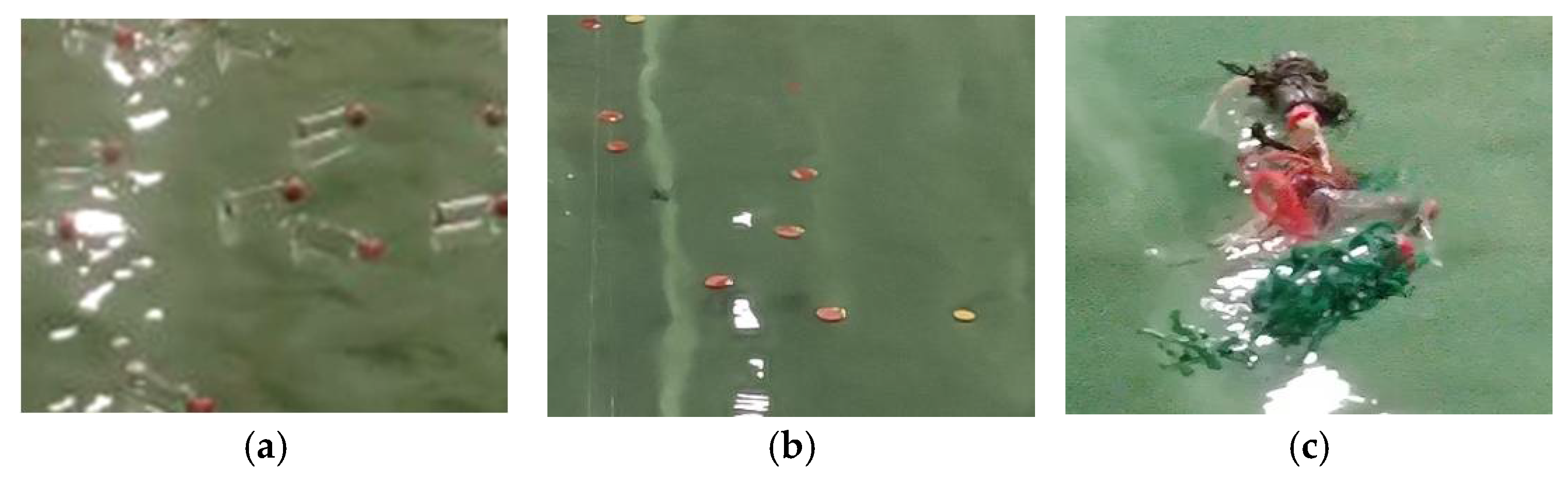 Remotesensing 15 00637 g006a