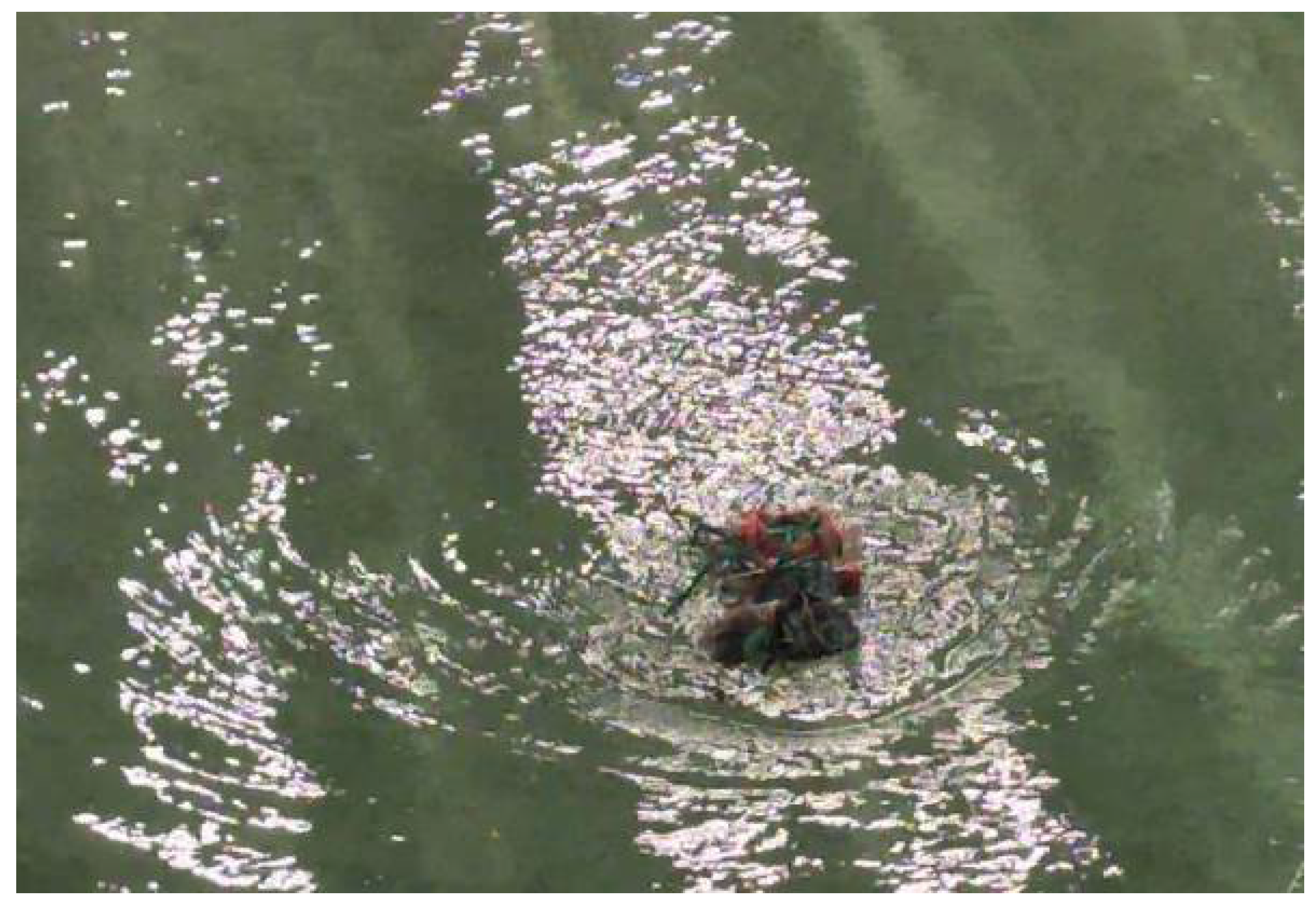 Remotesensing 15 00637 g013