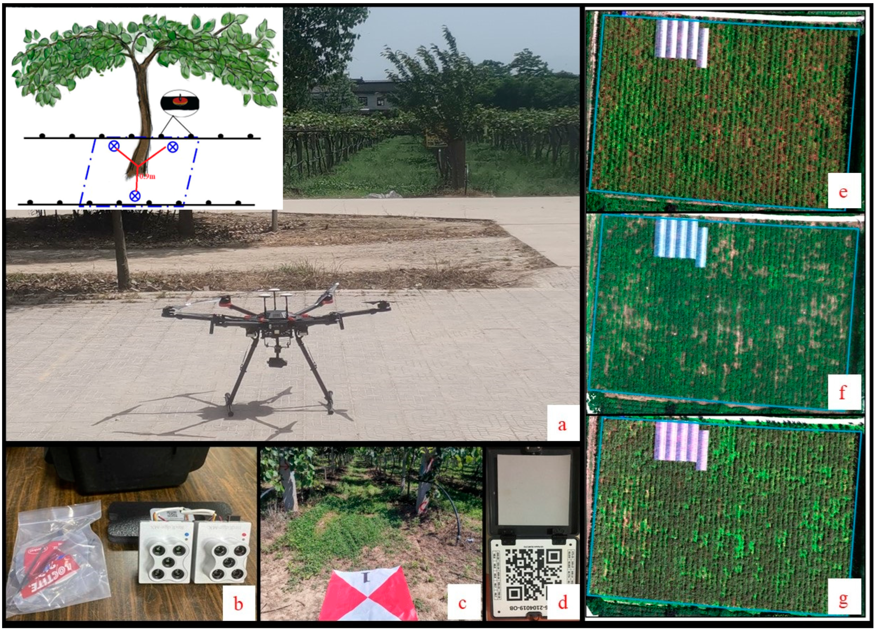 Remotesensing 15 00646 g003 Remotesensing 15 00646 g003