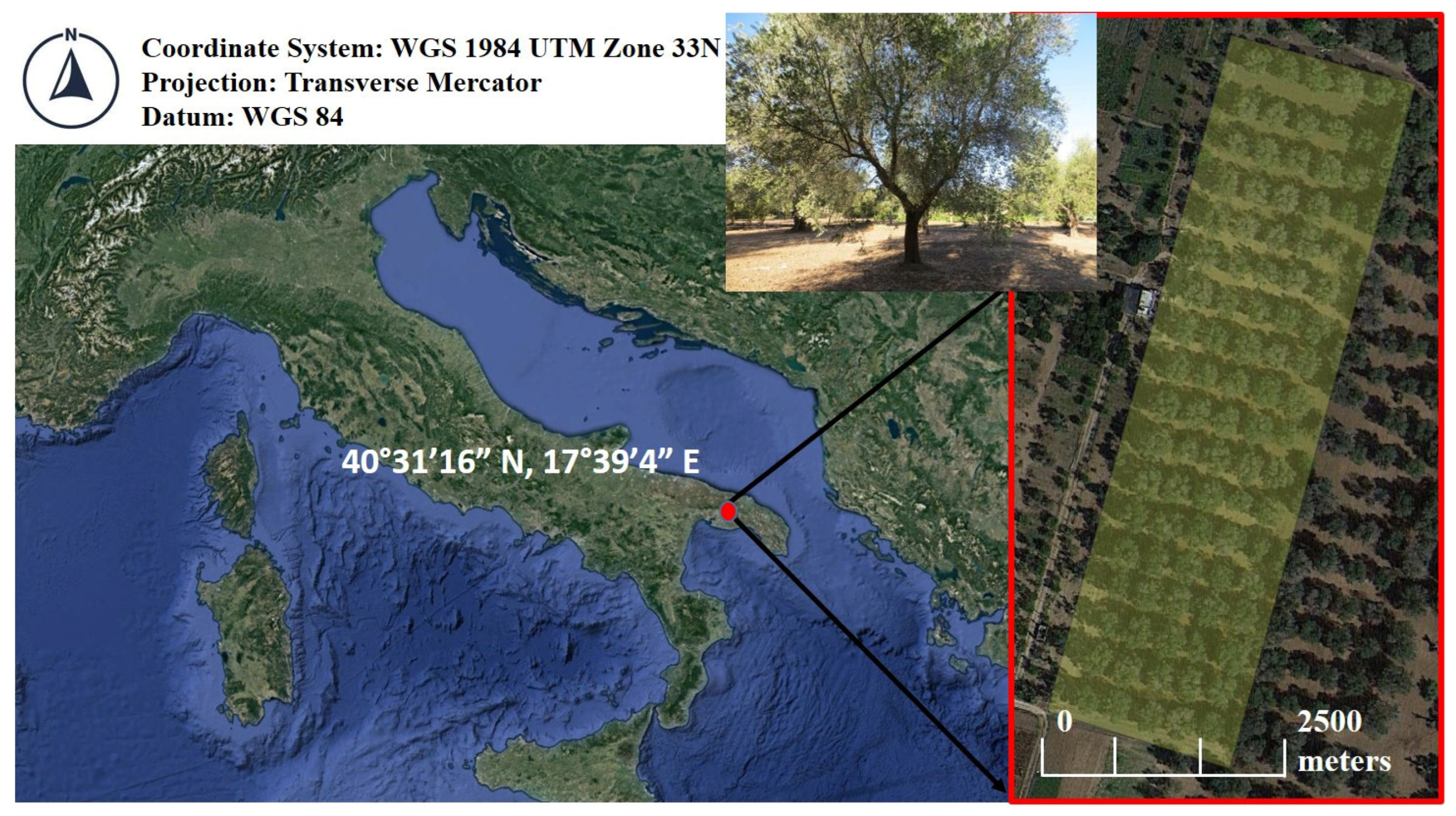 Remotesensing 15 00656 g001