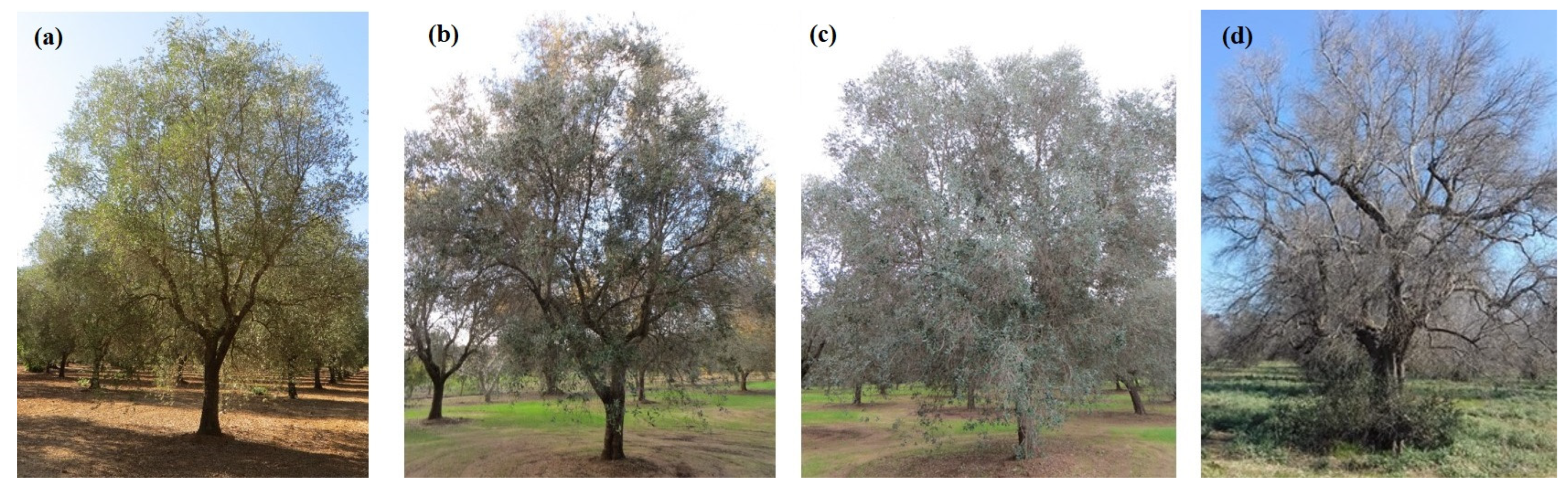 Remotesensing 15 00656 g008