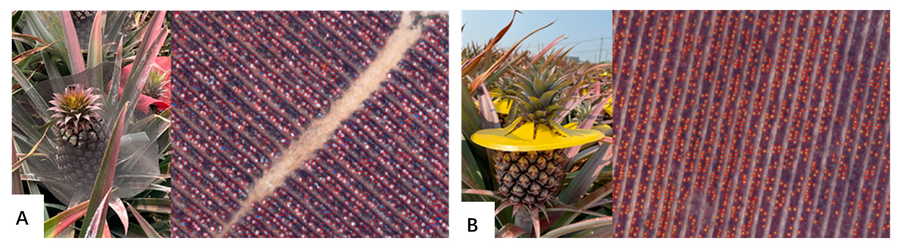 Remotesensing 15 00814 g007 Remotesensing 15 00814 g007
