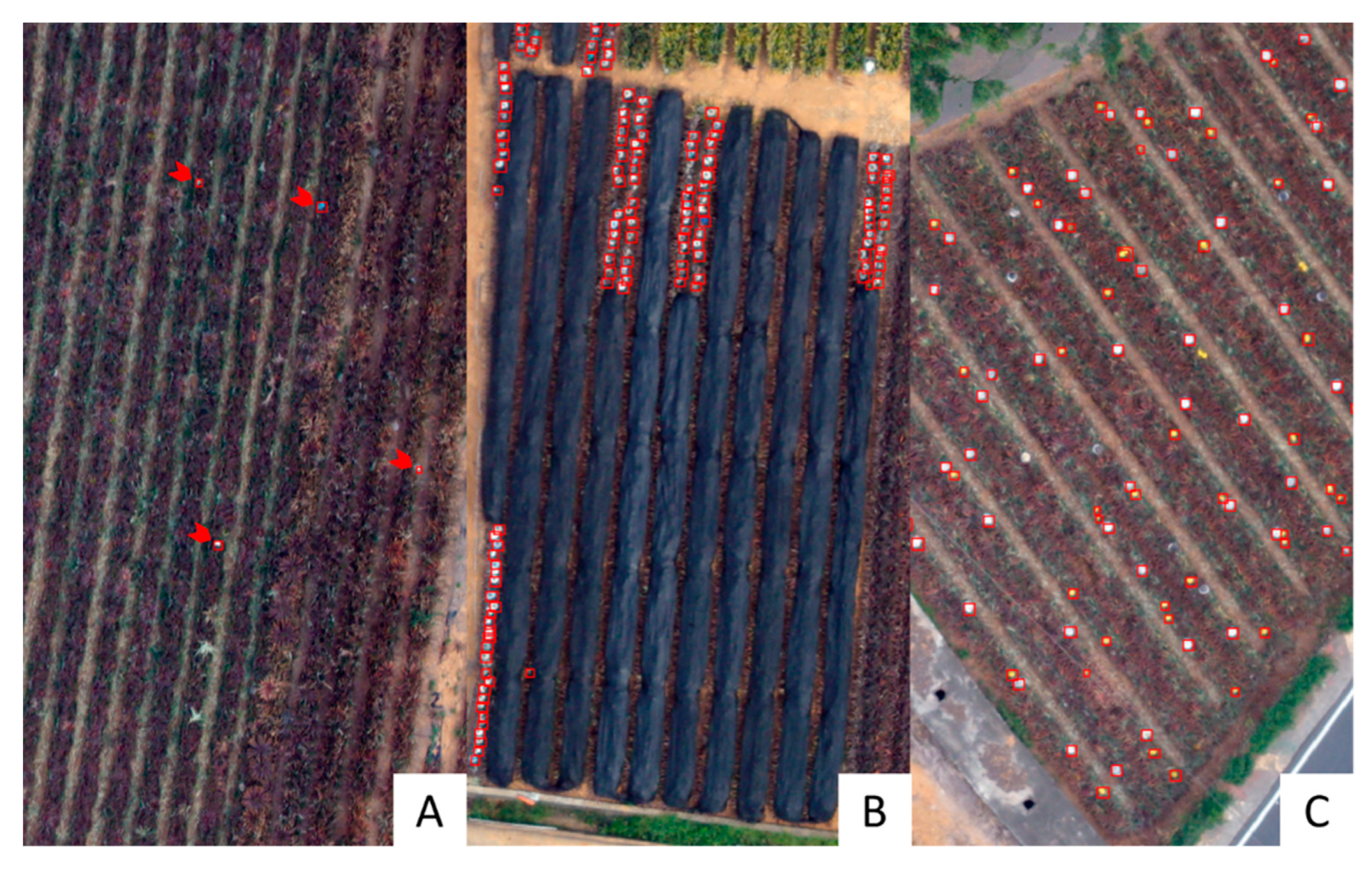 Remotesensing 15 00814 g008 Remotesensing 15 00814 g008