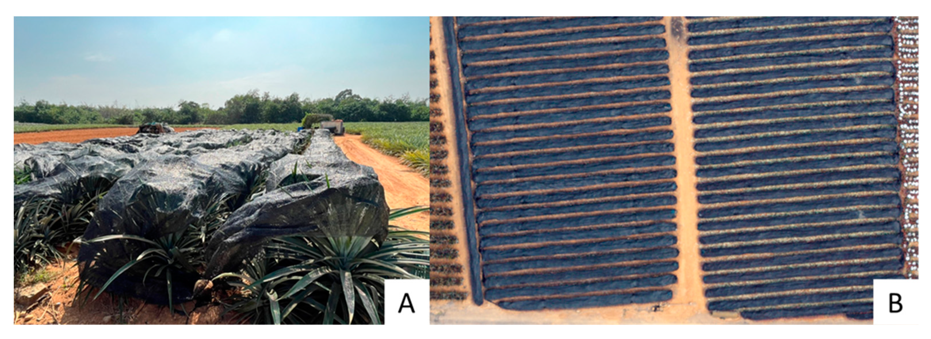 Remotesensing 15 00814 g009 Remotesensing 15 00814 g009