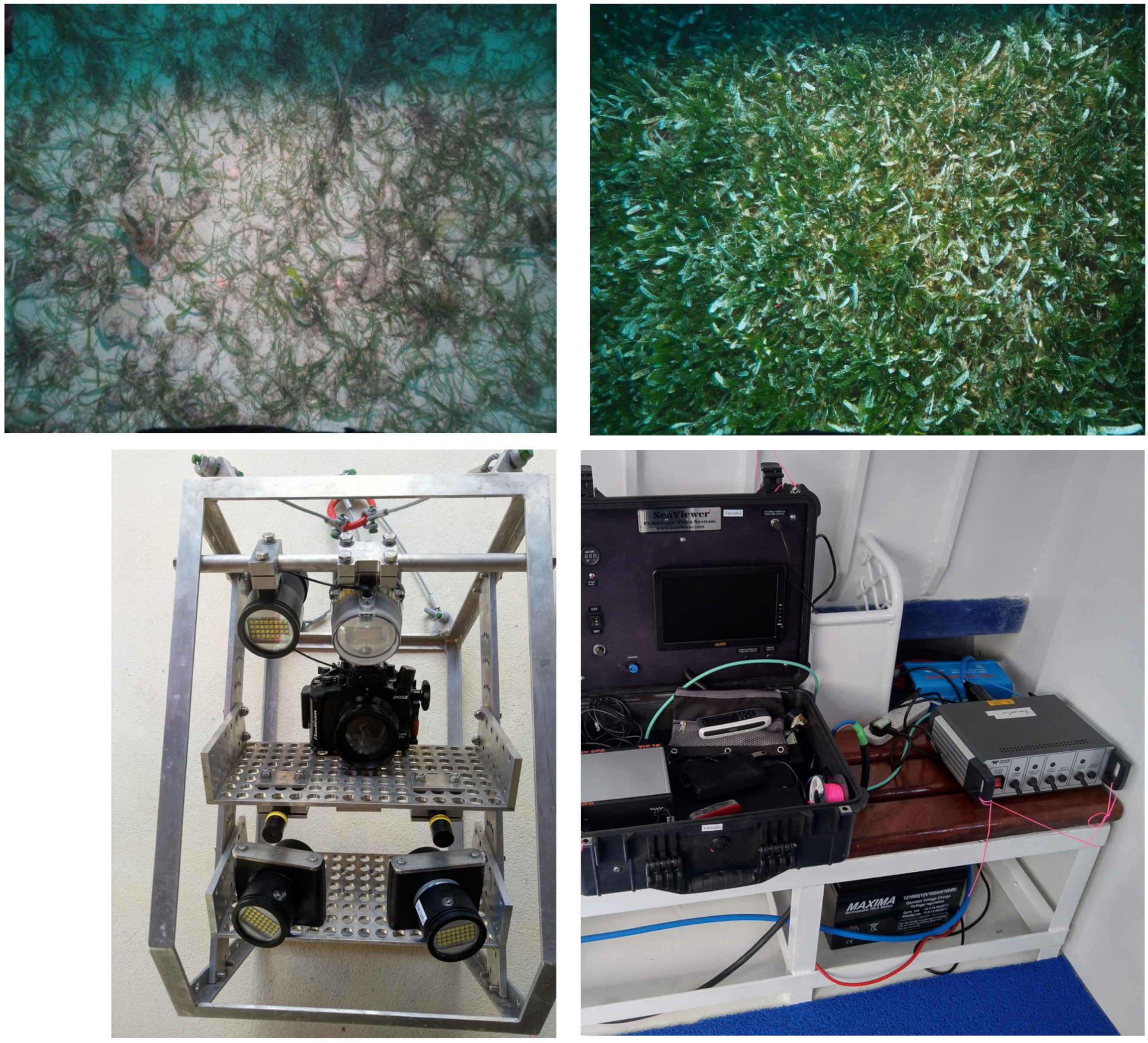 Remotesensing 15 00834 g007