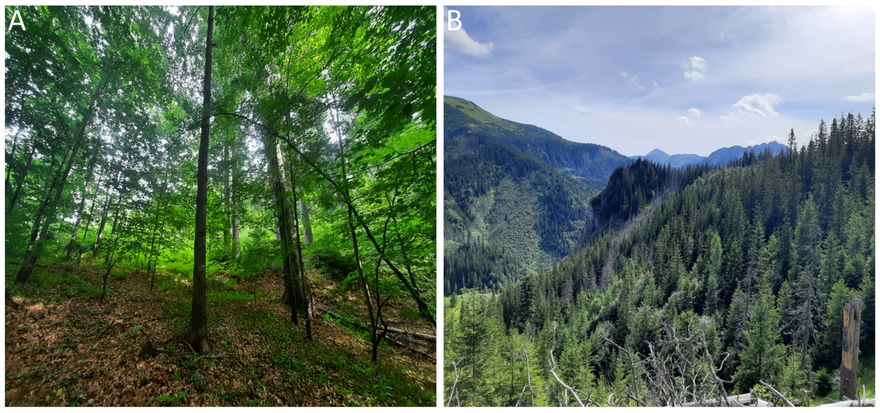 Remotesensing 15 00844 g002 Remotesensing 15 00844 g002