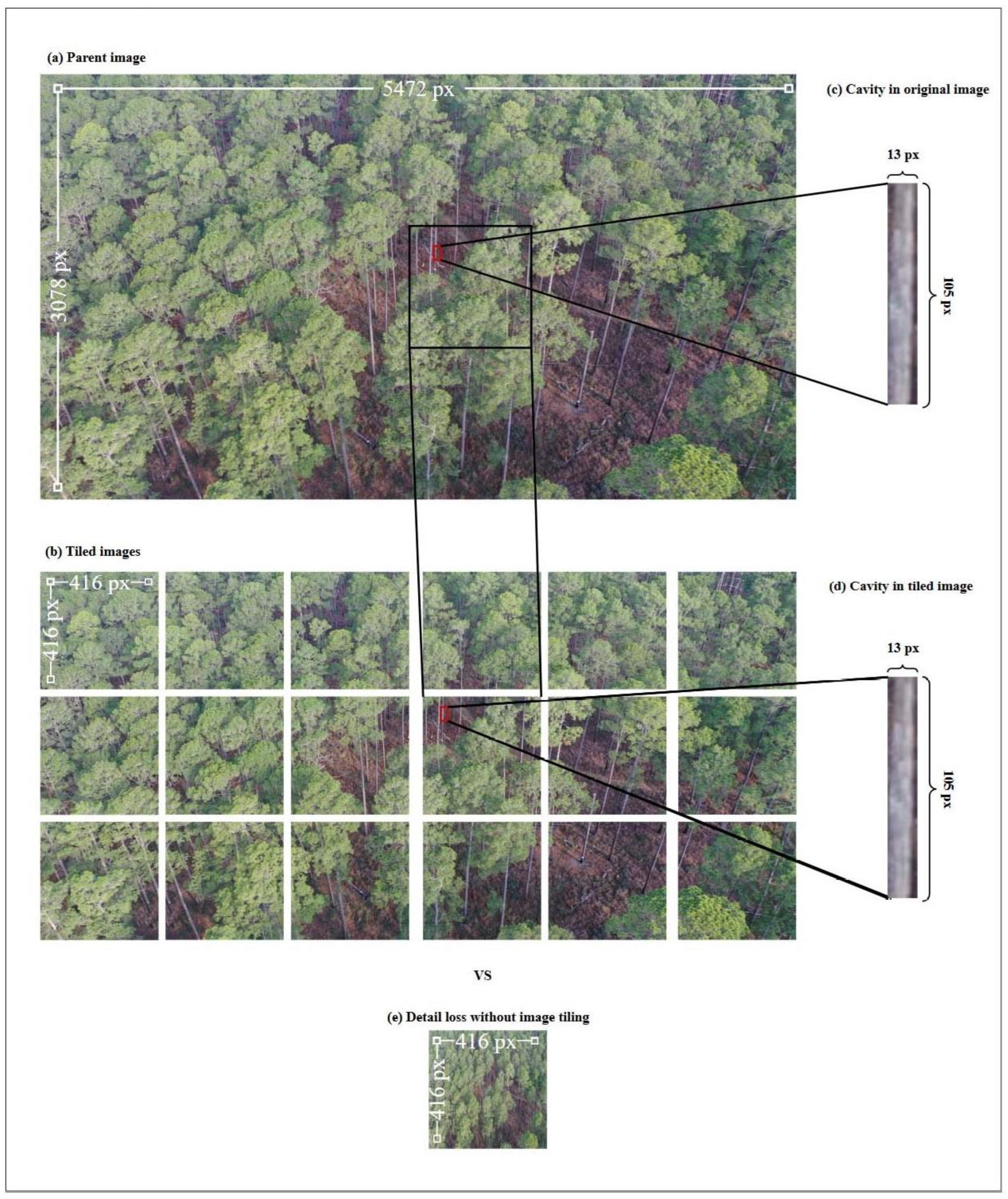 Remotesensing 15 00883 g005 Remotesensing 15 00883 g005