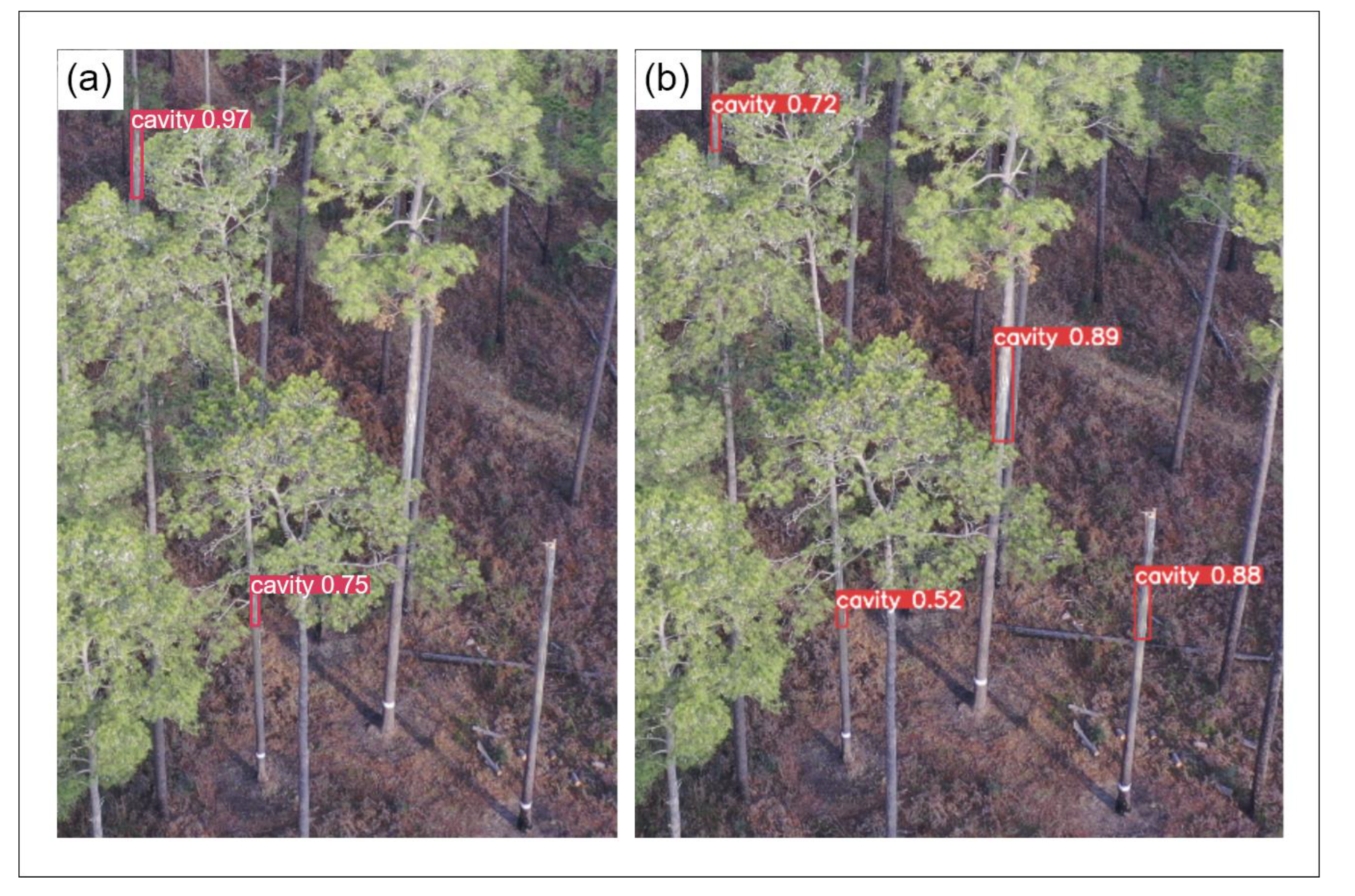 Remotesensing 15 00883 g007 Remotesensing 15 00883 g007