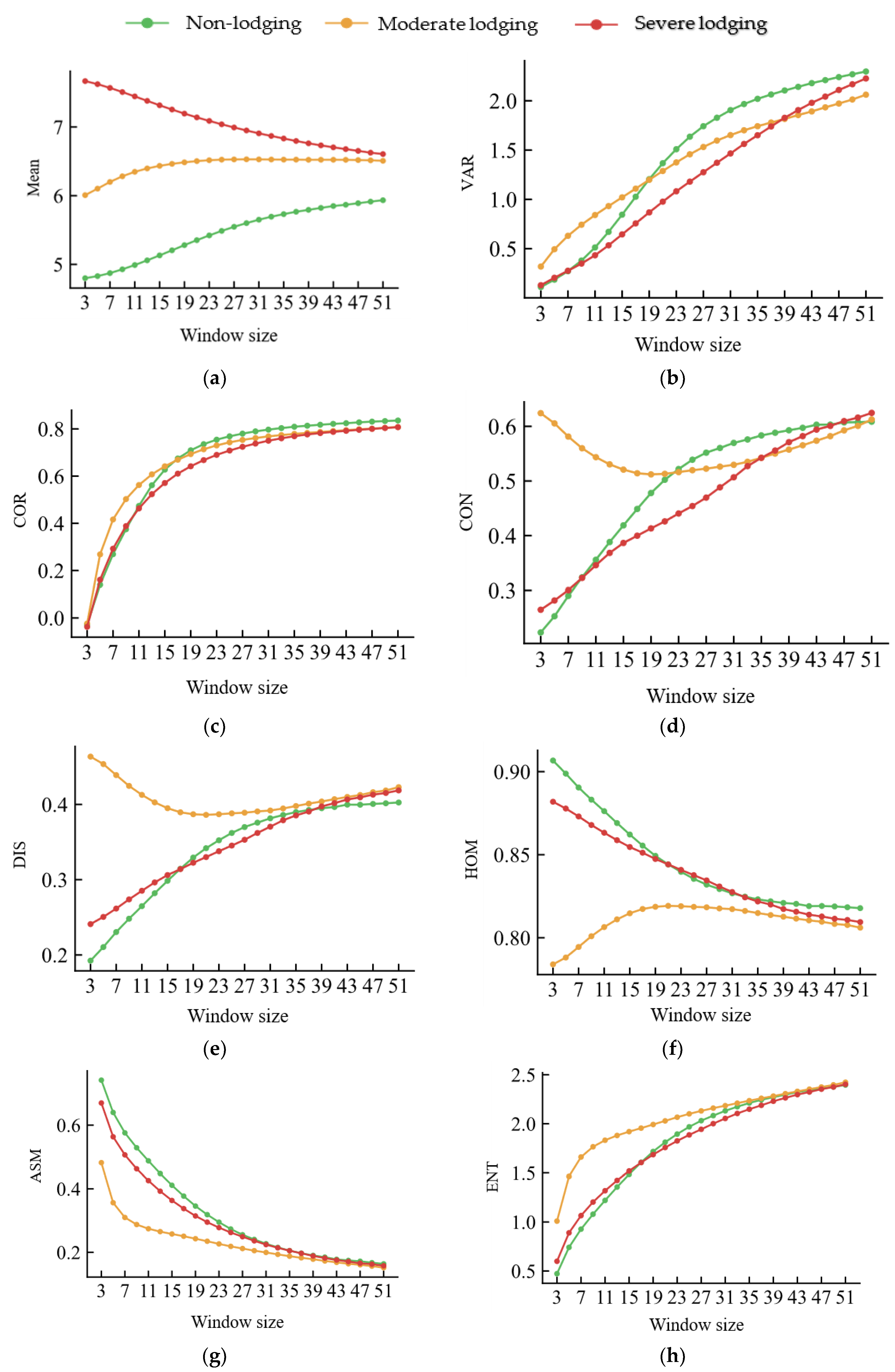 Remotesensing 15 00894 g010