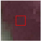 Remotesensing 15 00894 i002