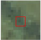 Remotesensing 15 00894 i003