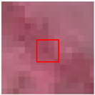 Remotesensing 15 00894 i004