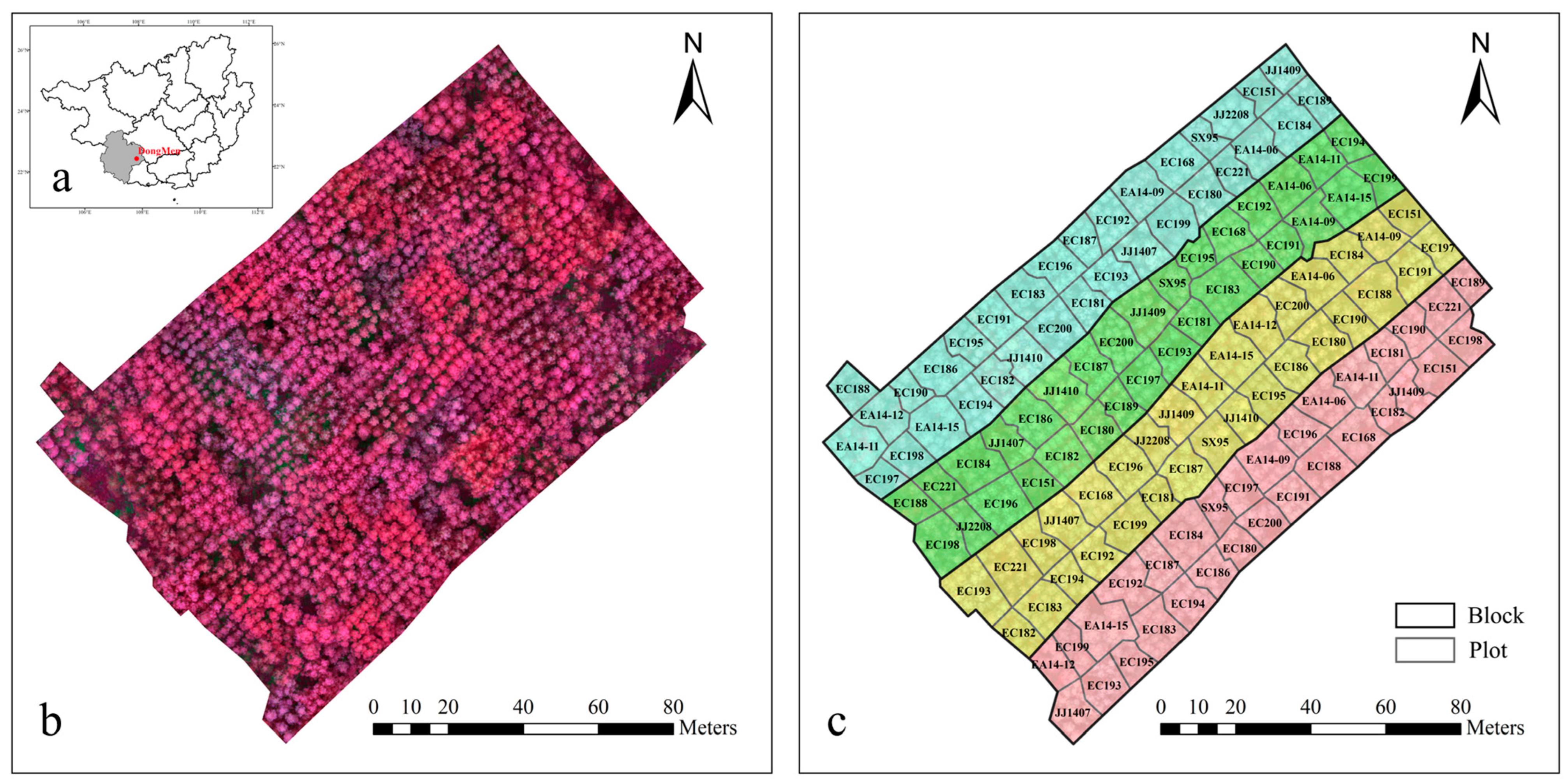 Remotesensing 15 00899 g002 Remotesensing 15 00899 g002