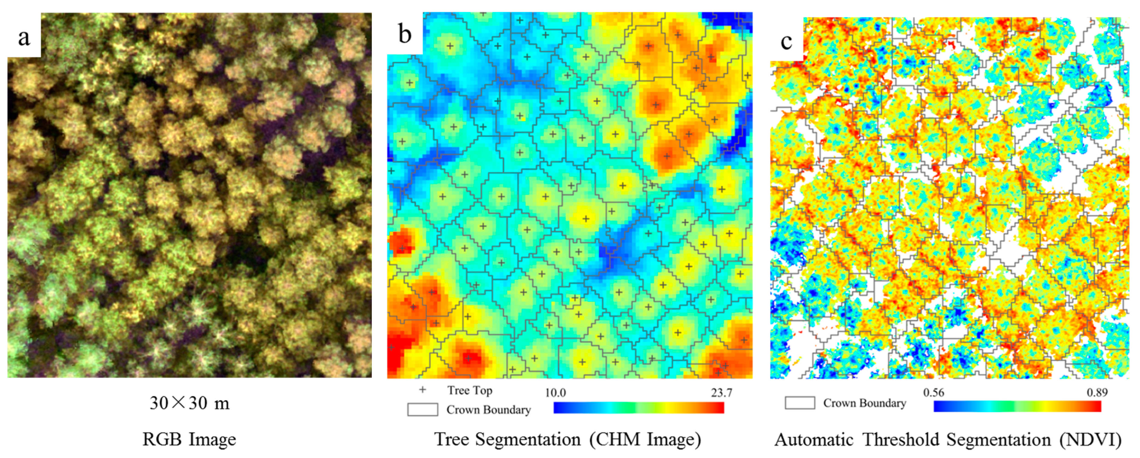 Remotesensing 15 00899 g004 Remotesensing 15 00899 g004