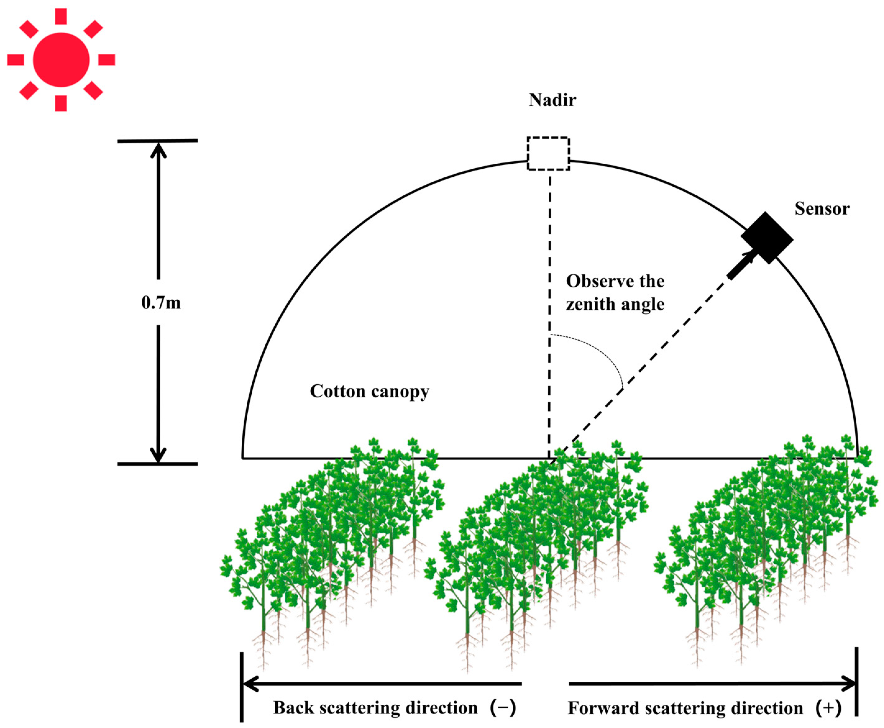 Remotesensing 15 00955 g002
