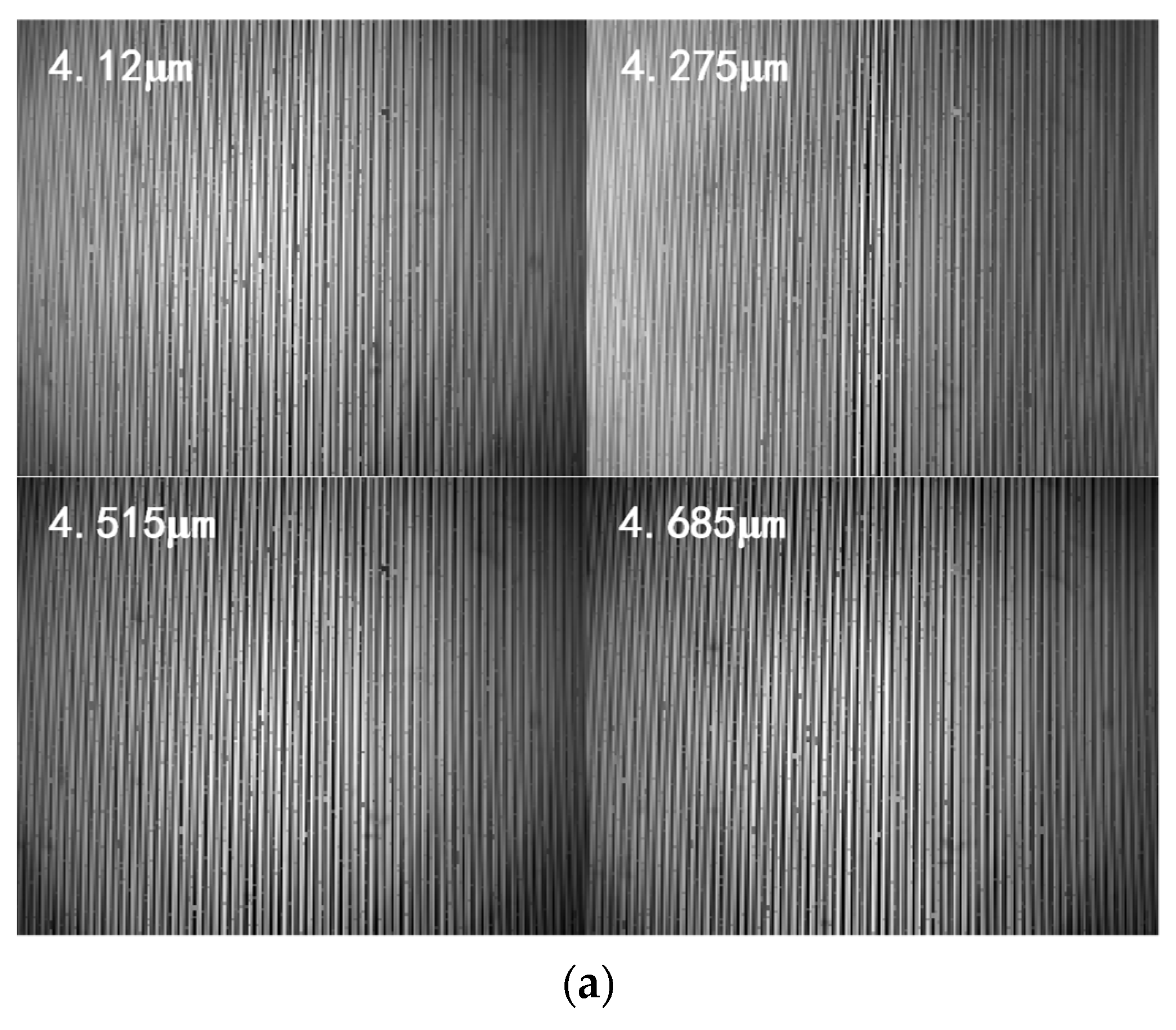 Remotesensing 15 00985 g014a