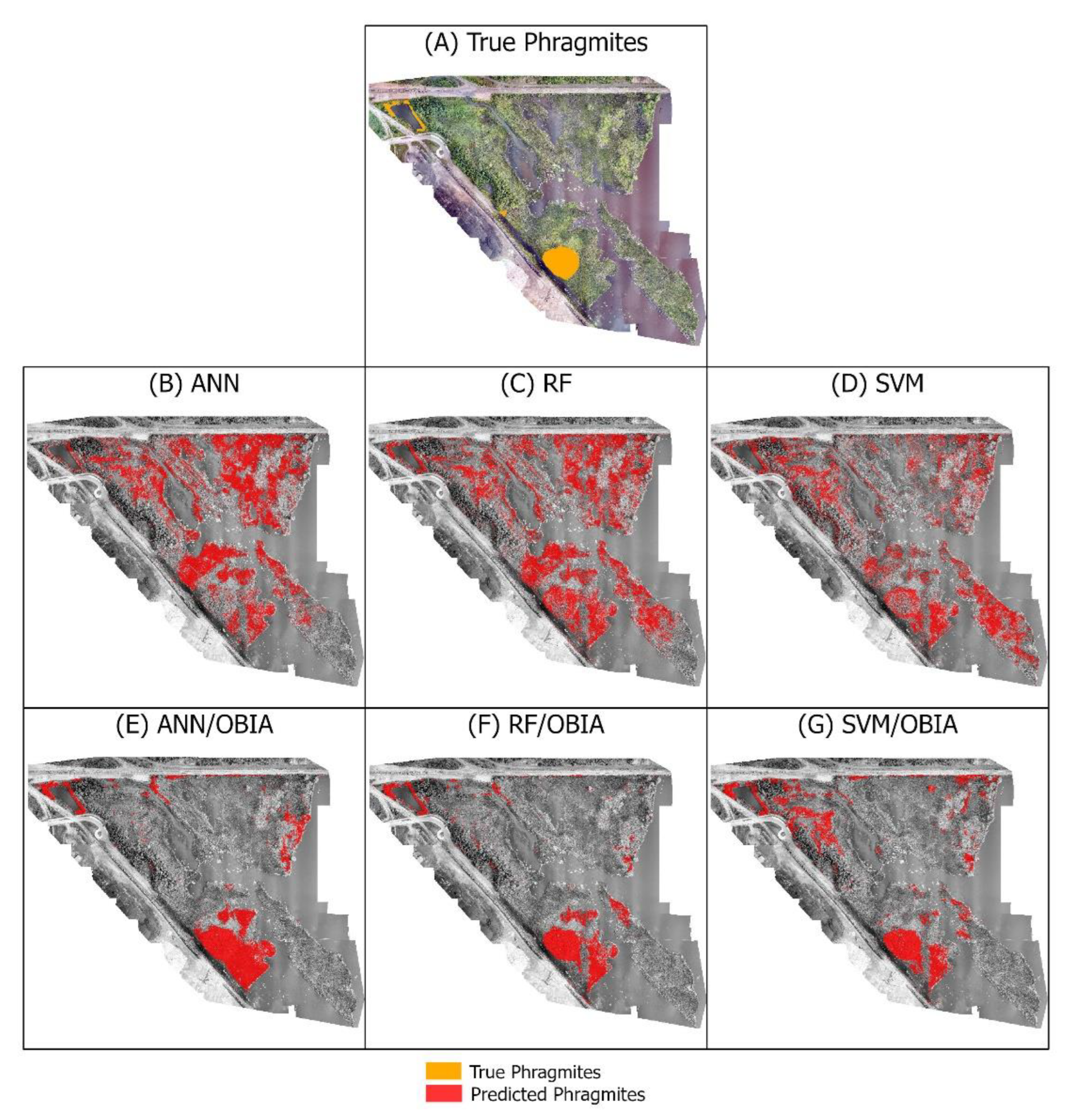Remotesensing 15 00989 g016